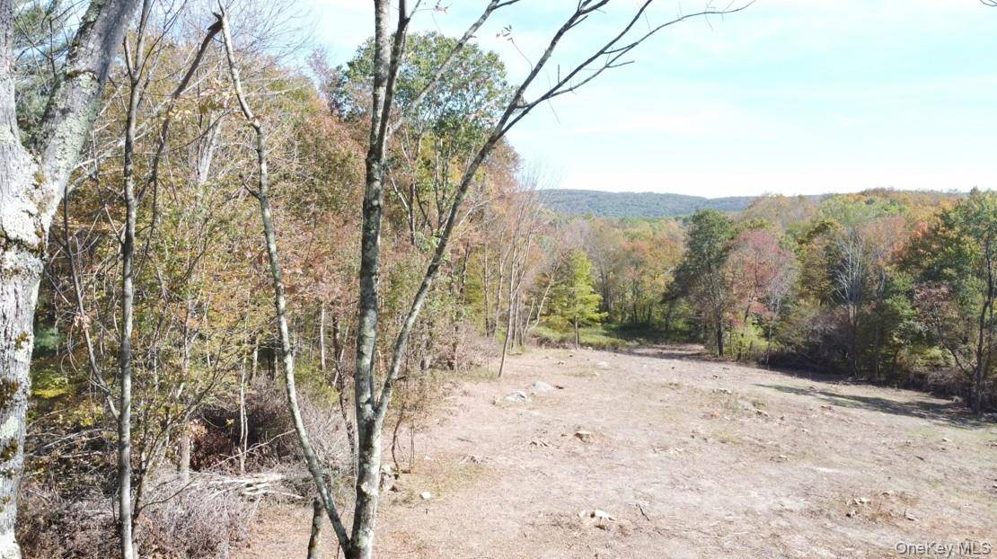 TBD West Hill RD, Austerlitz, NY 12017