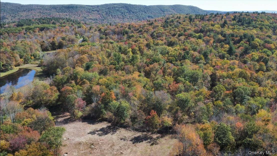 TBD West Hill RD, Austerlitz, NY 12017