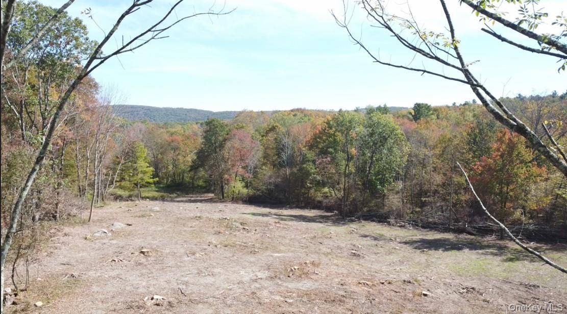 TBD West Hill RD, Austerlitz, NY 12017