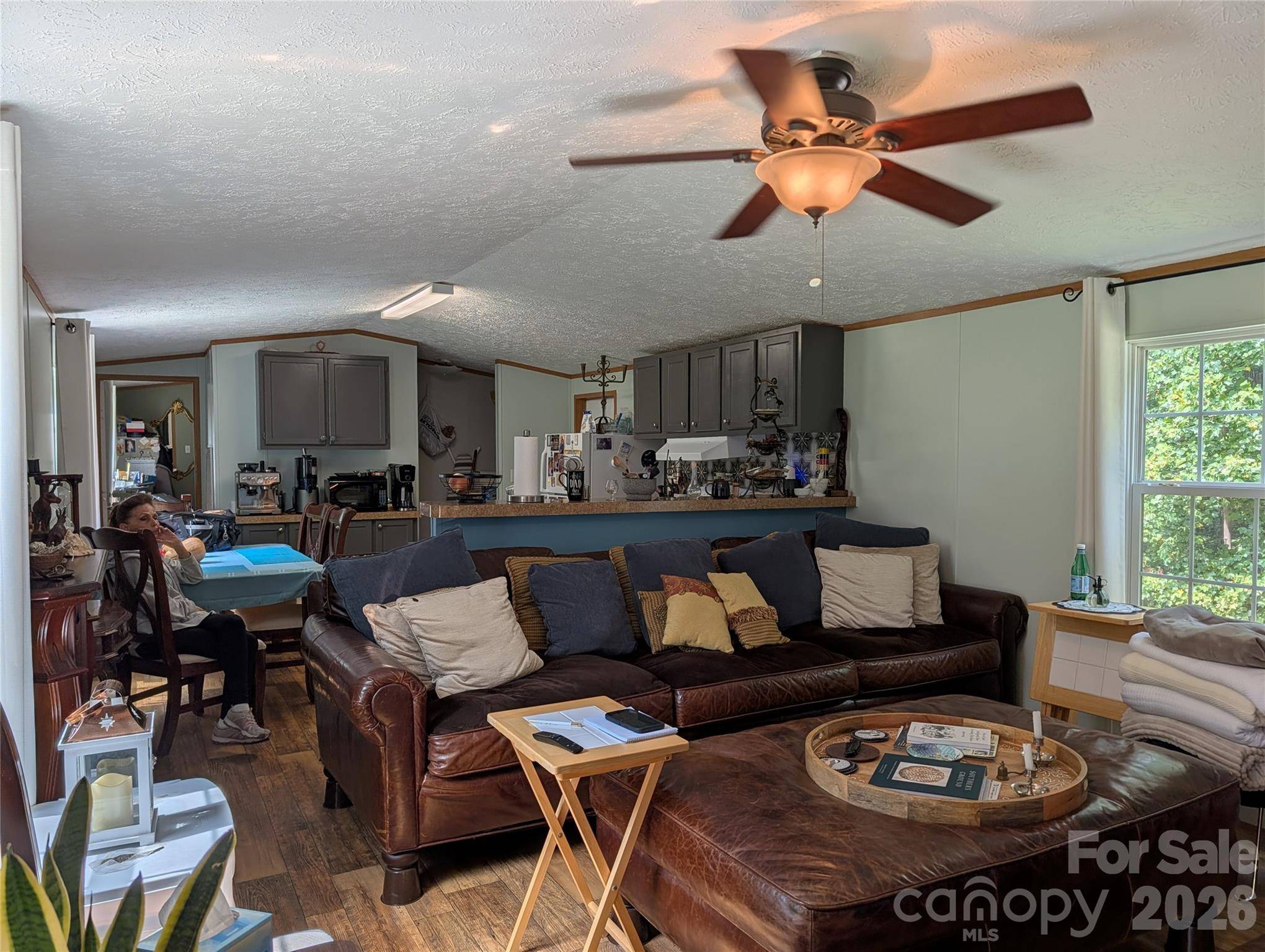 29 Herschel King DR, Candler, NC 28715