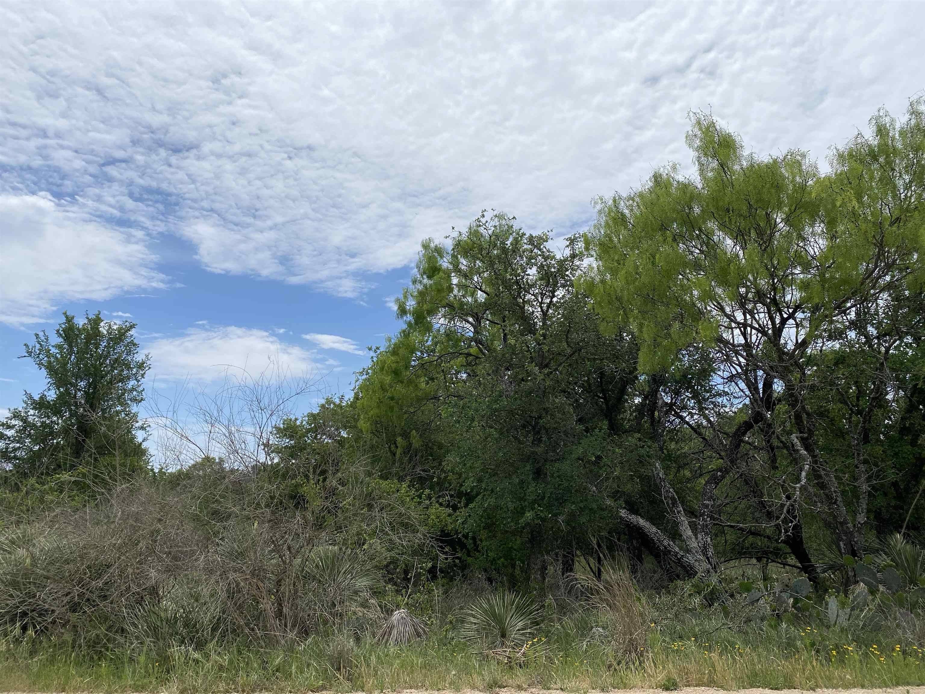 Rosehill DR, Granite Shoals, TX 78654