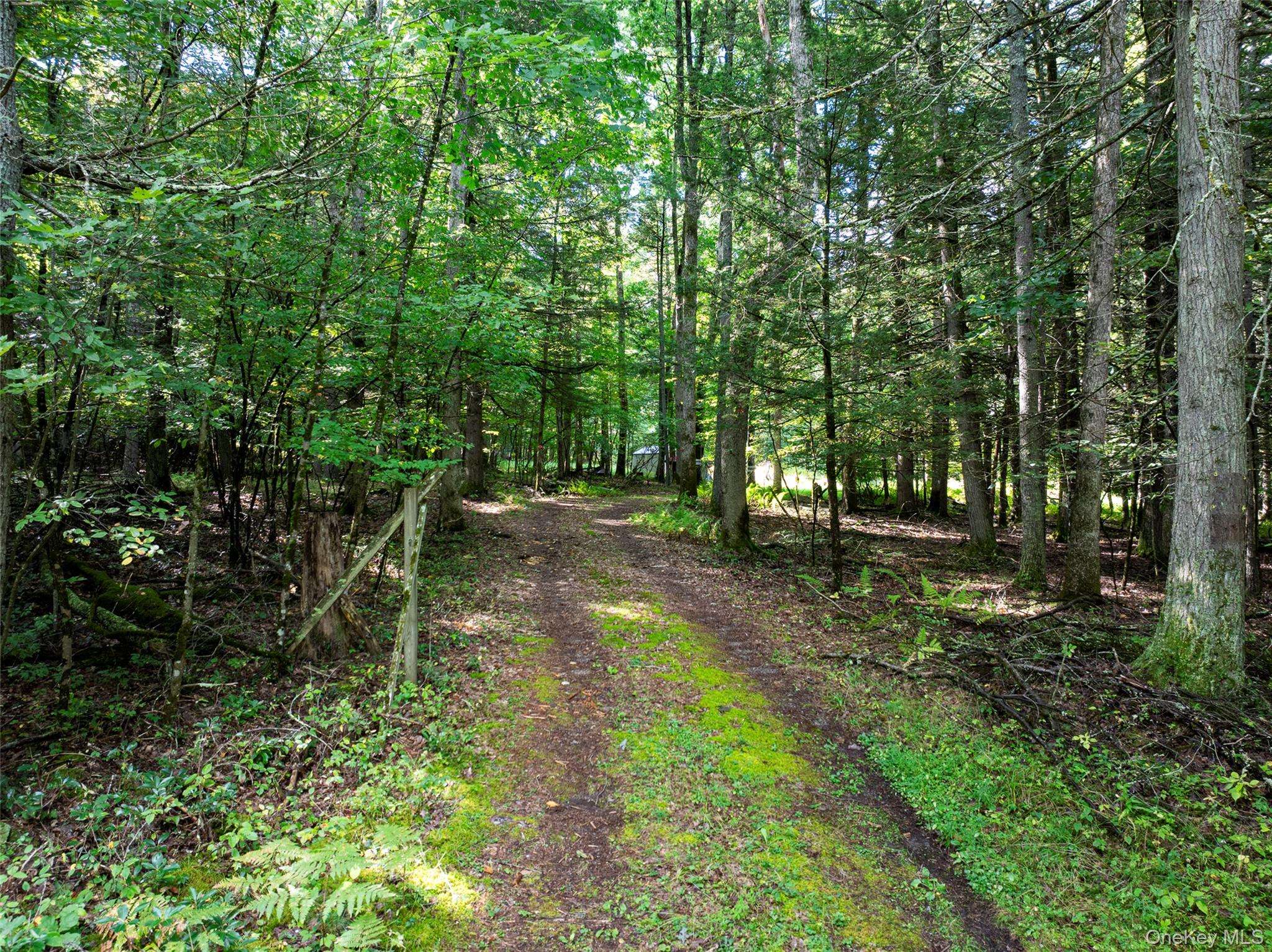 83 Perry Pond RD, Narrowsburg, NY 12764