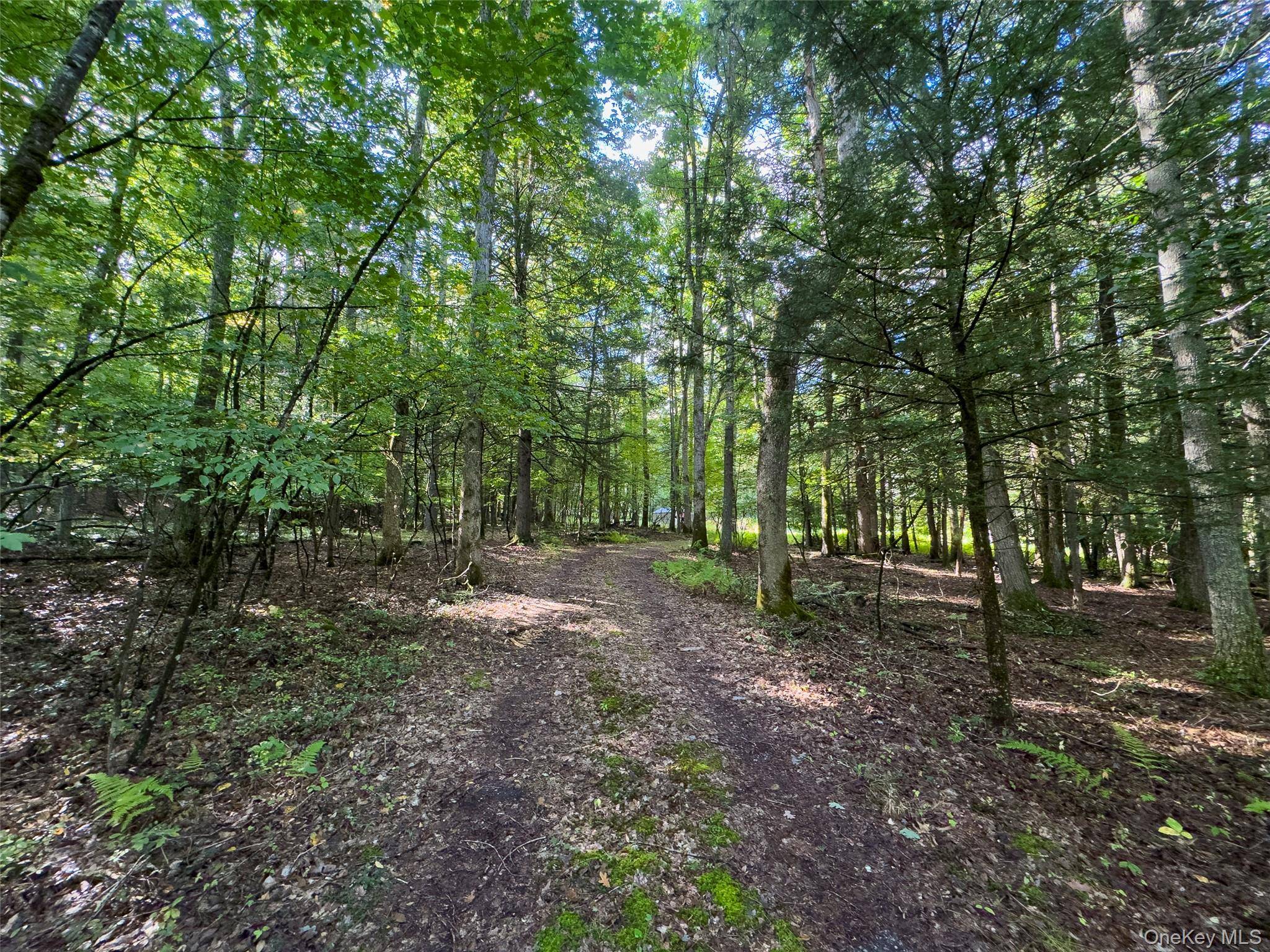 83 Perry Pond RD, Narrowsburg, NY 12764