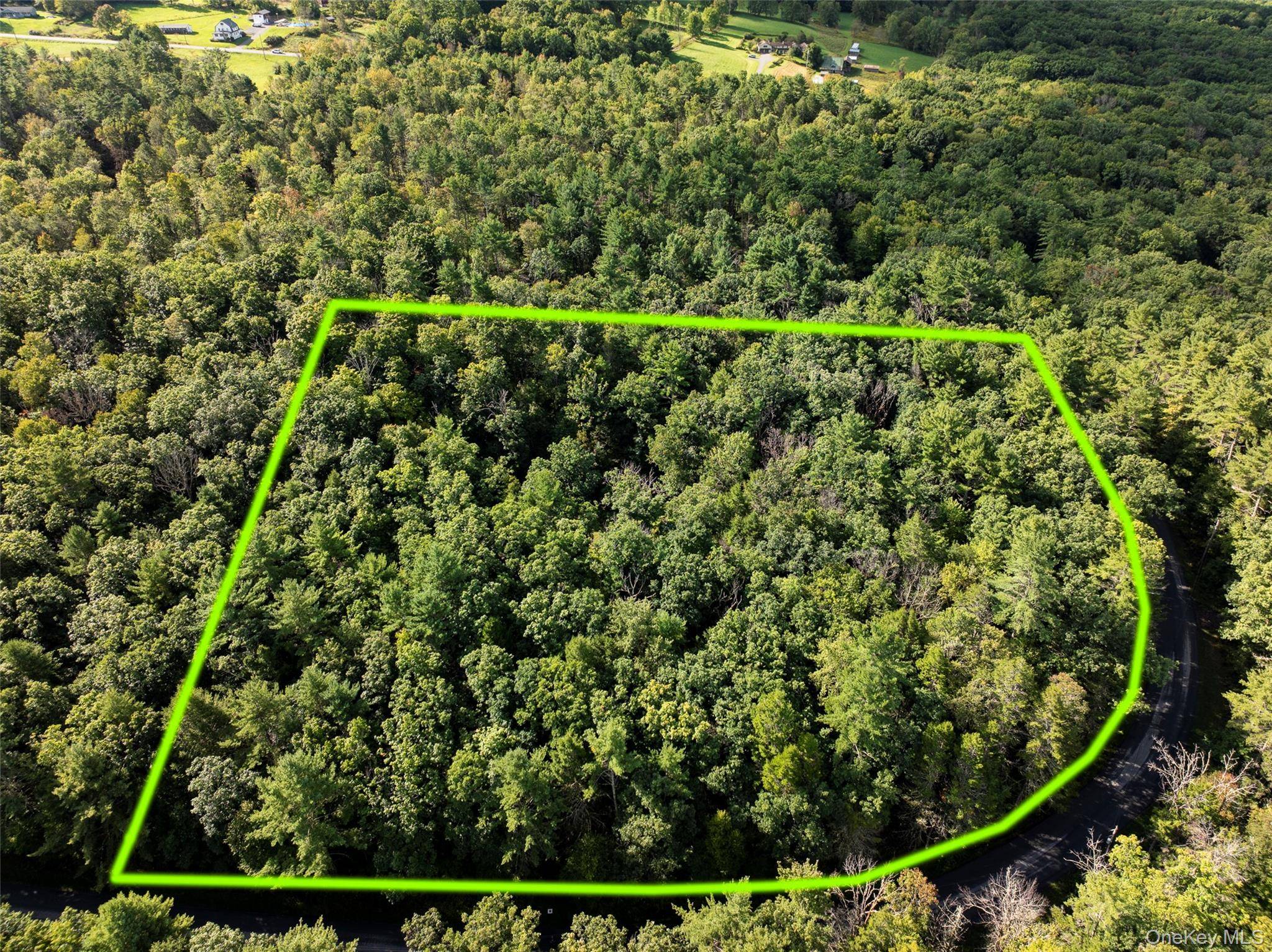 83 Perry Pond RD, Narrowsburg, NY 12764