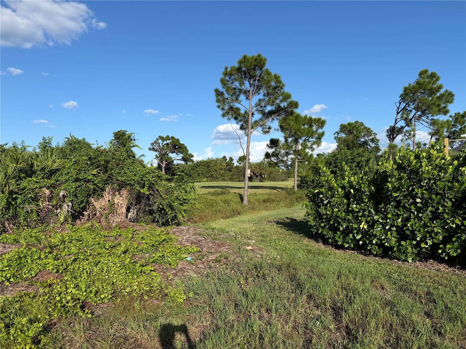 81 PINE VALLEY CT, Rotonda West, FL 33947