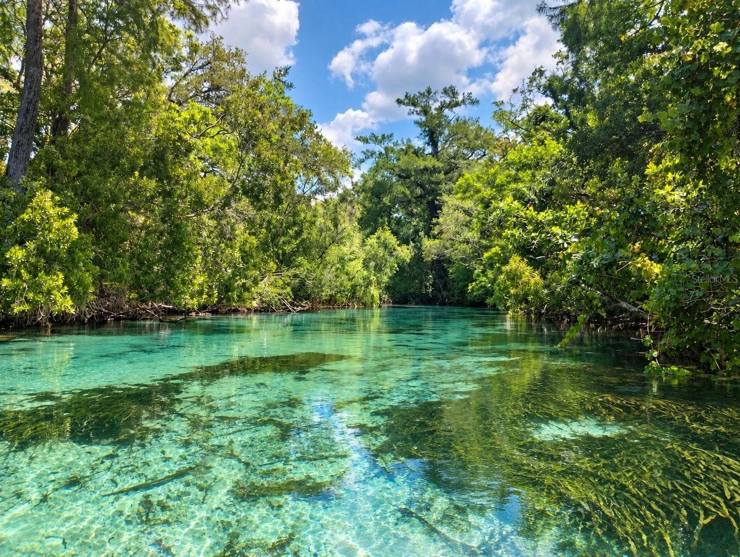 7071 MERTAL ST, Weeki Wachee, FL 34607