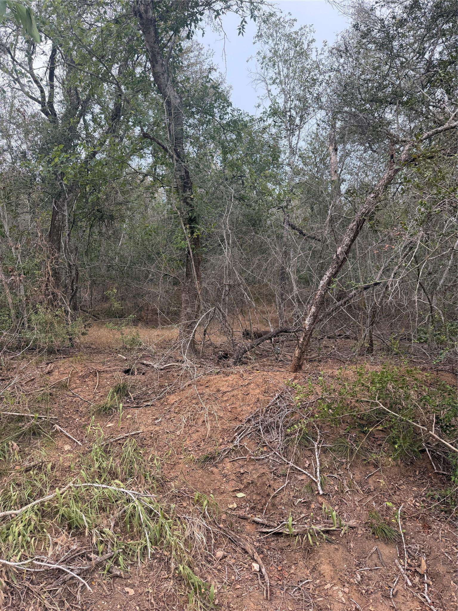 Lots 565 and 566 Mokulua LN, Bastrop, TX 78602