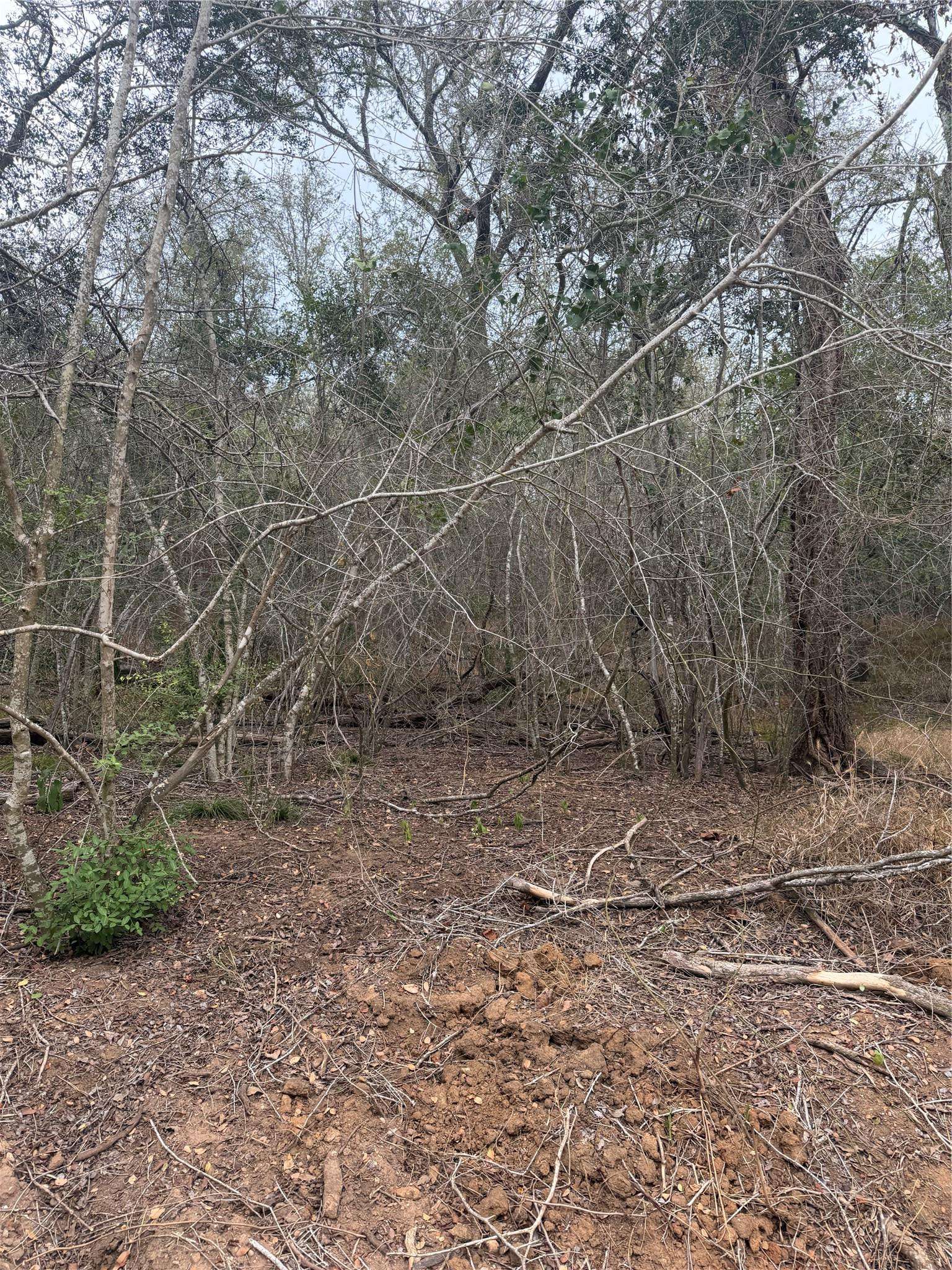 Lots 565 and 566 Mokulua LN, Bastrop, TX 78602
