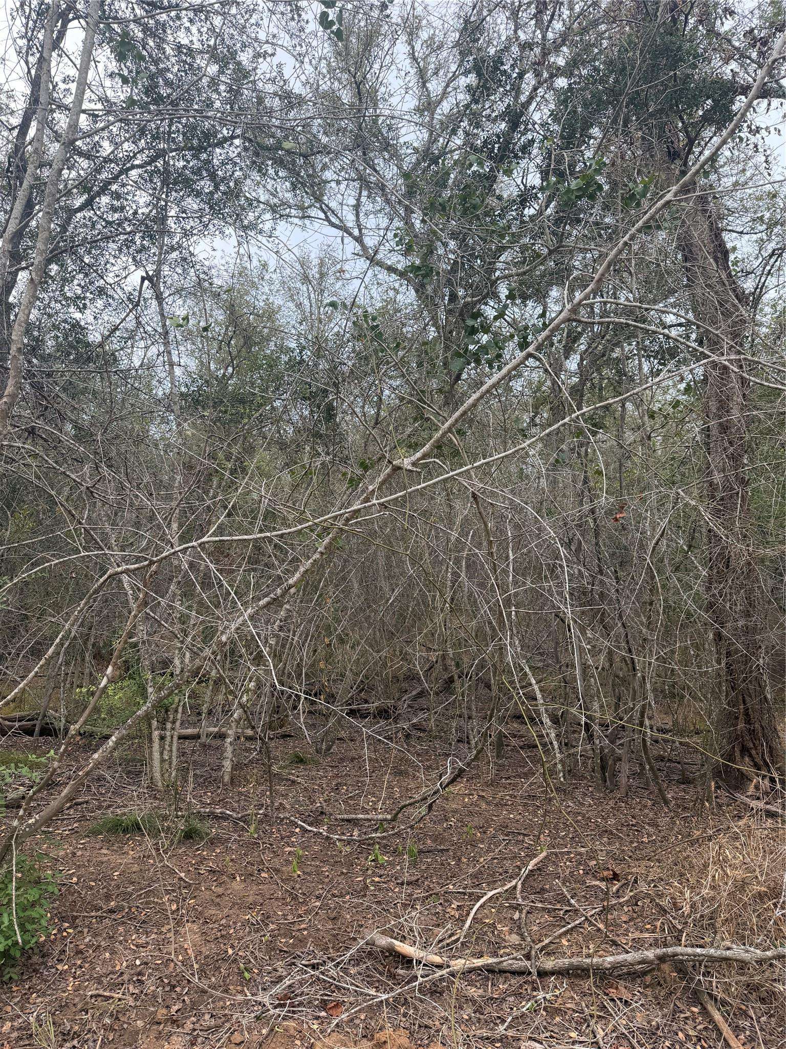 Lots 565 and 566 Mokulua LN, Bastrop, TX 78602