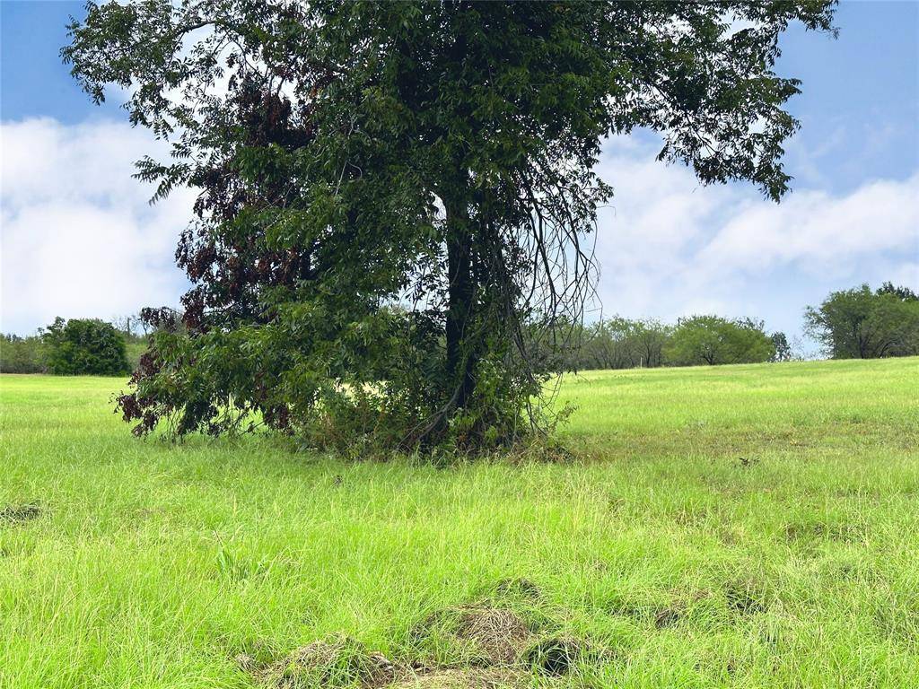 Lot 131 Lake Vista Drive, Streetman, TX 75859