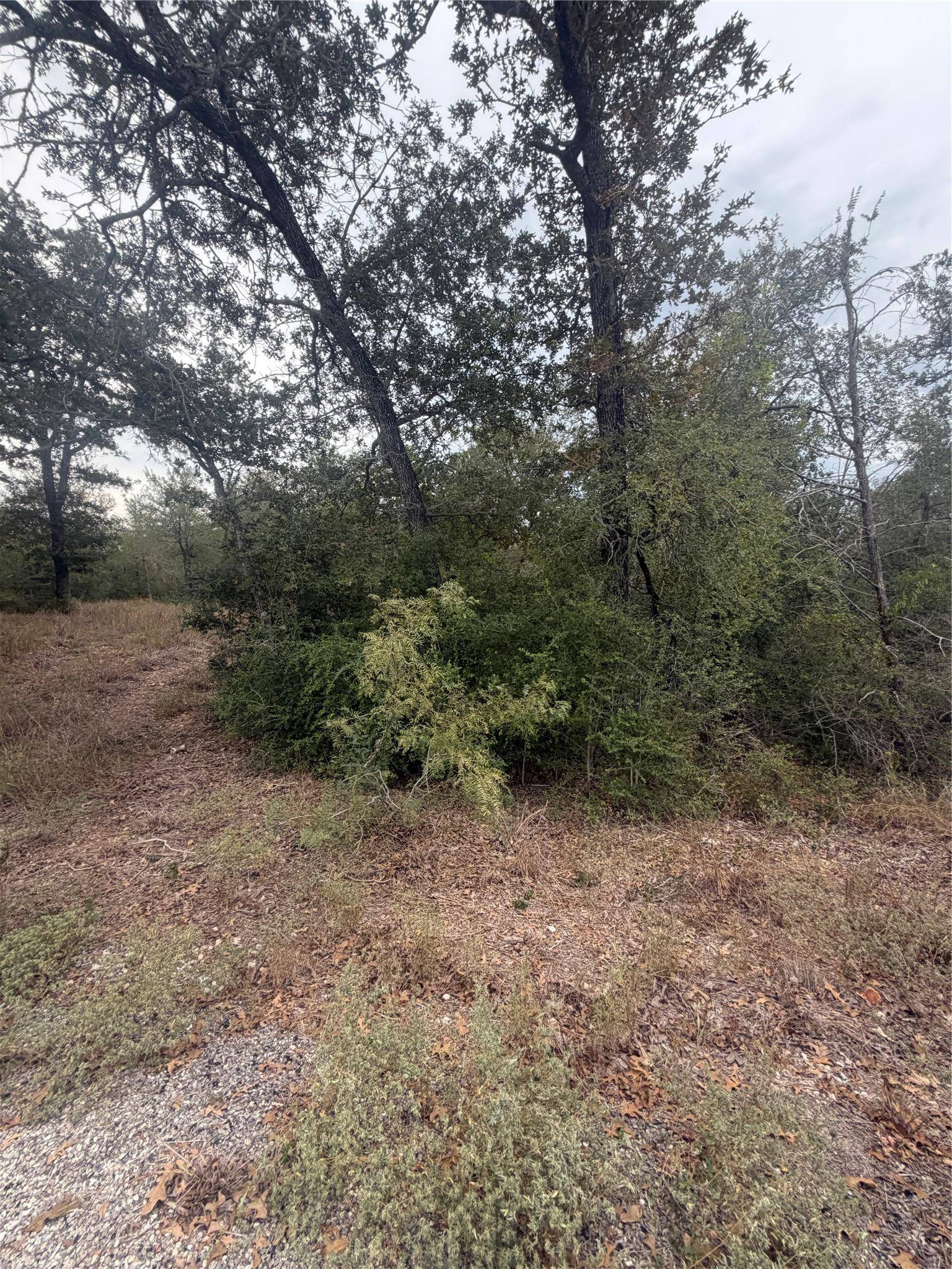 4 Lots Mokulua Mokuleia CIR, Bastrop, TX 78602
