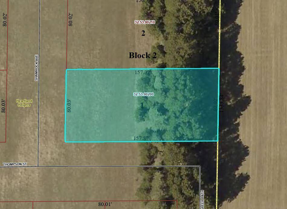 TBD Lot 1 Thompson St, Park Rapids, MN 56470