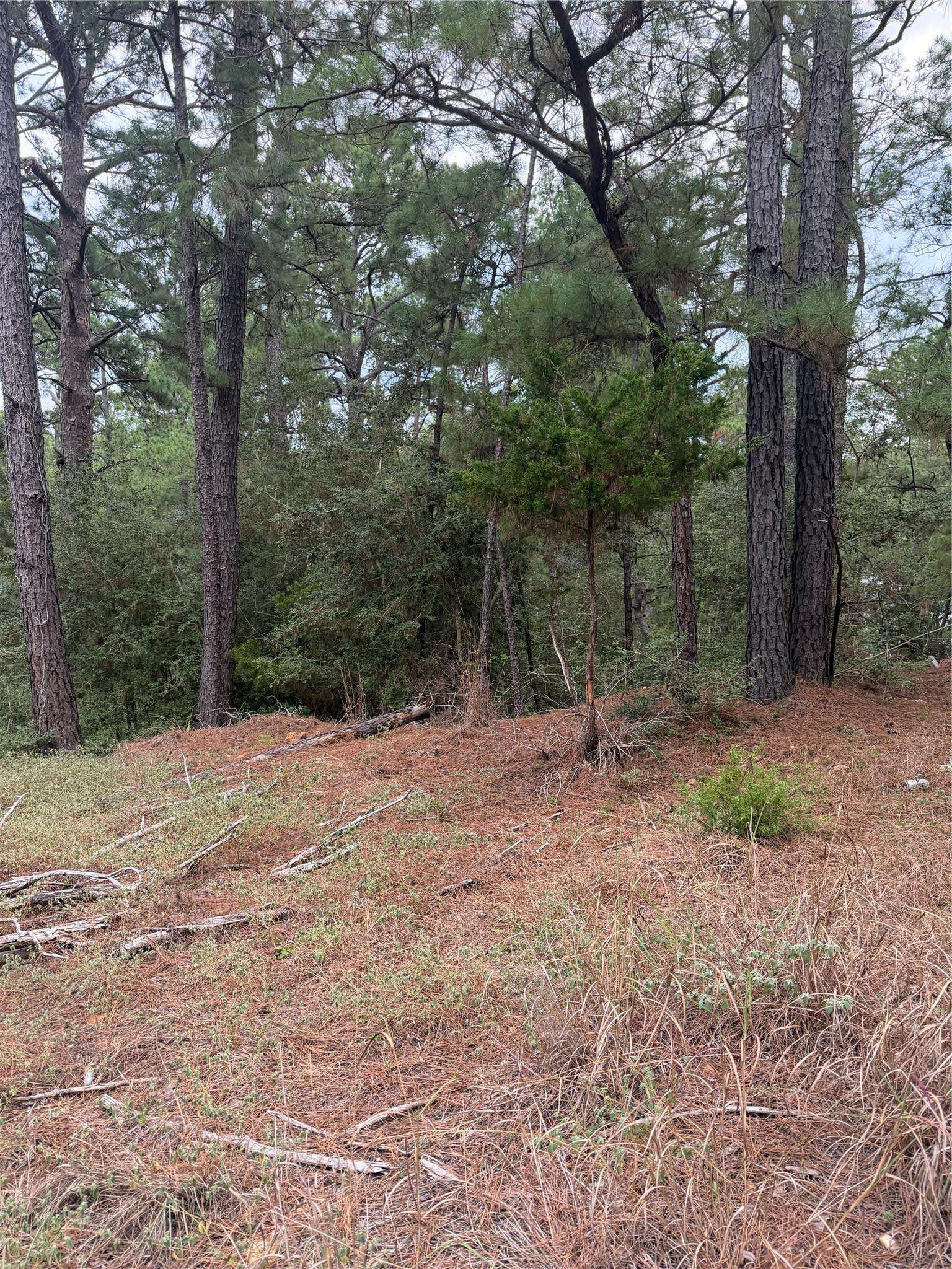Lot 69 and 70 Taro CT, Bastrop, TX 78602