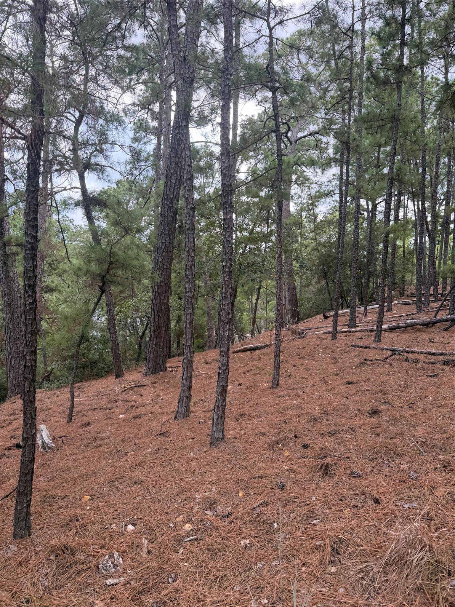 Lot 69 and 70 Taro CT, Bastrop, TX 78602