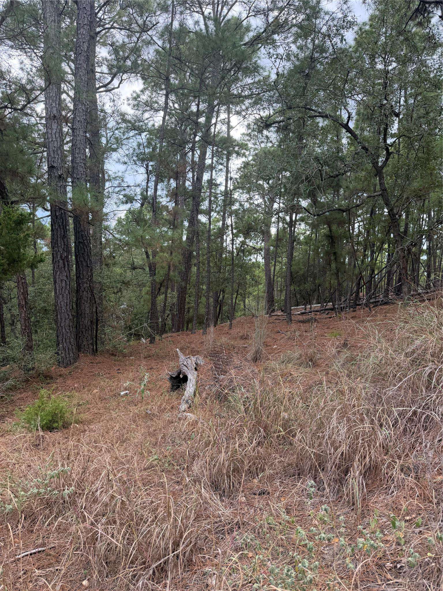 Lot 69 and 70 Taro CT, Bastrop, TX 78602