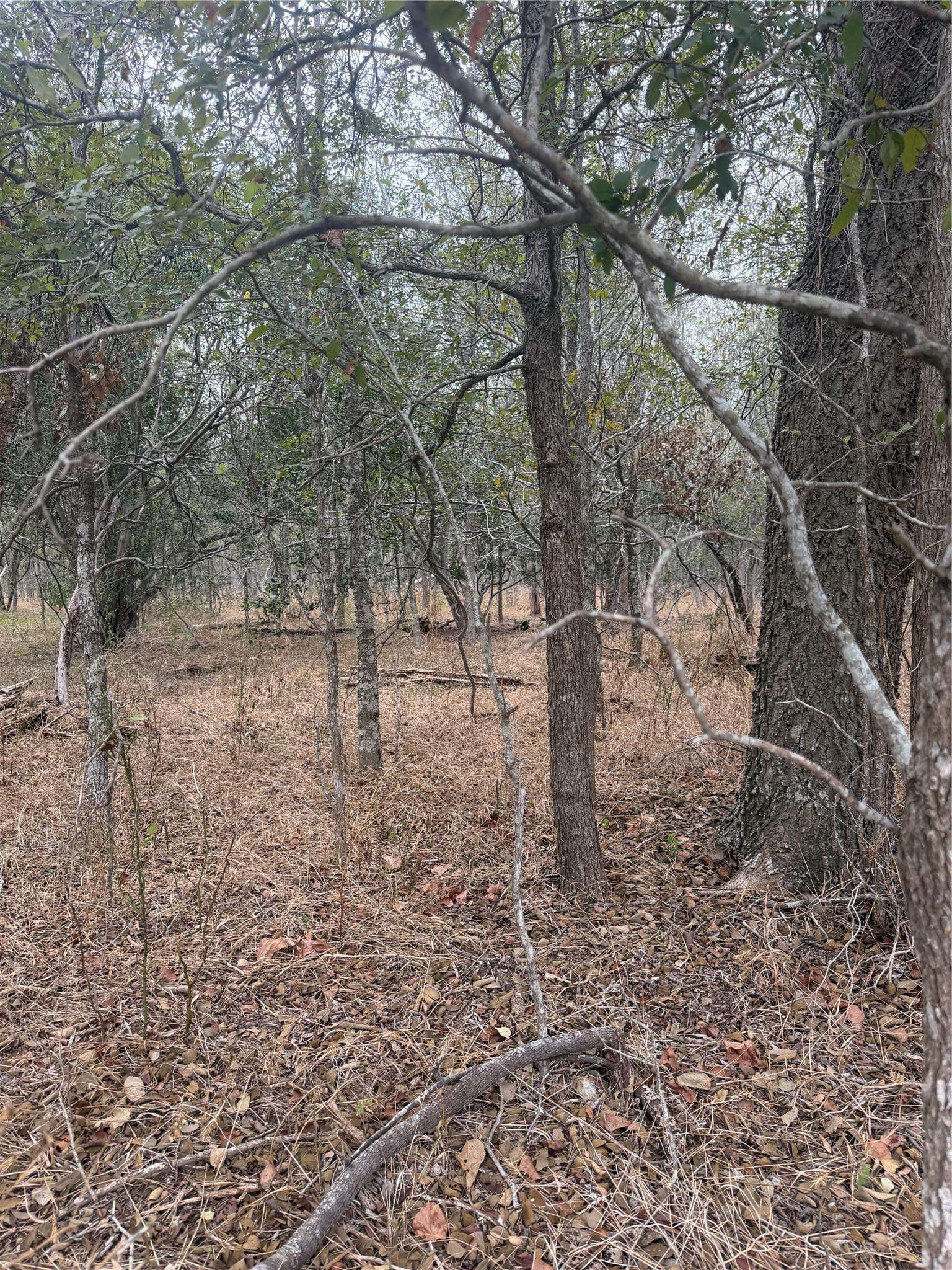 Lots 298, 300 and 54 Riverside and Kahana DR, Bastrop, TX 78602