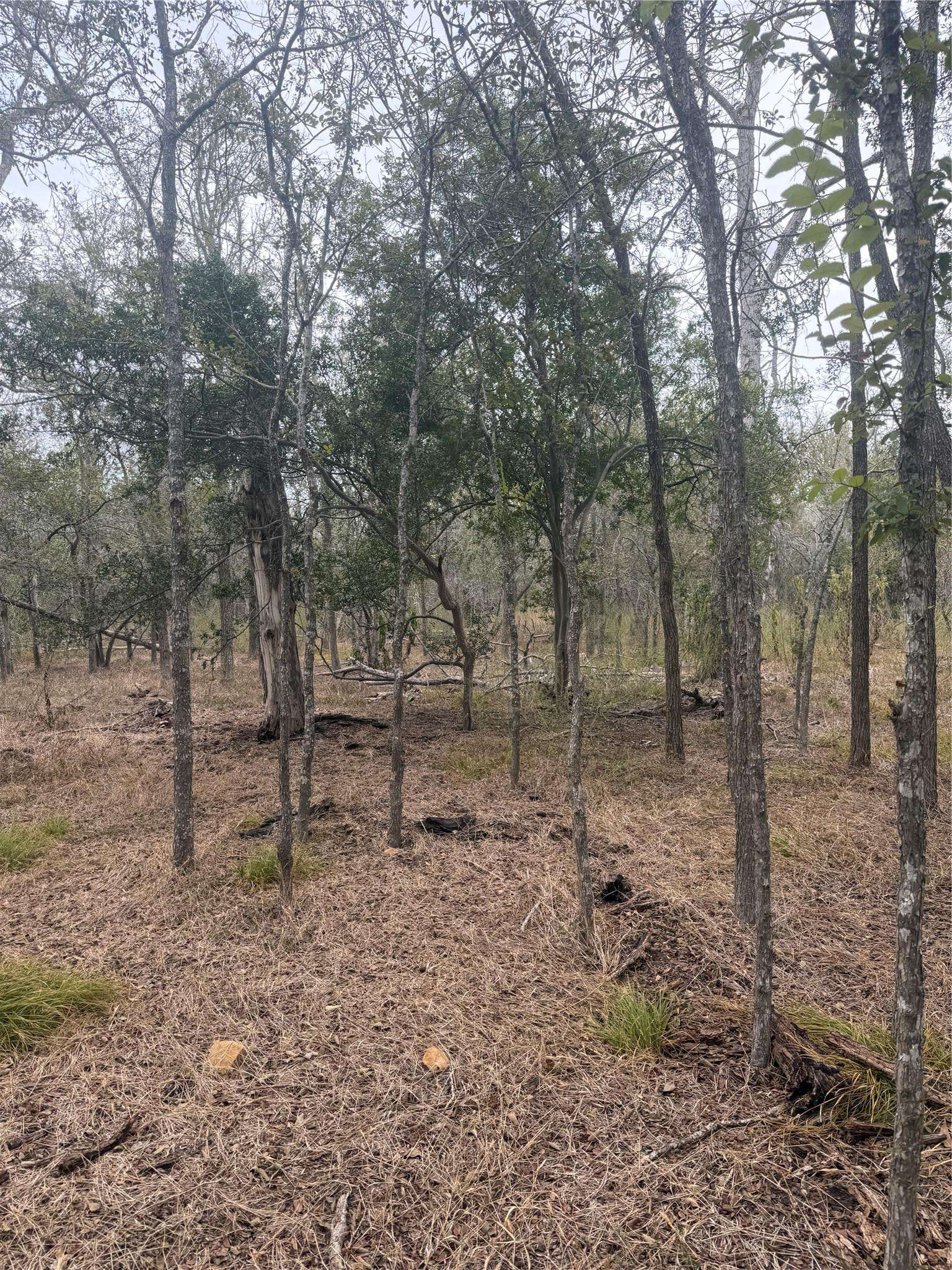 Lots 298, 300 and 54 Riverside and Kahana DR, Bastrop, TX 78602