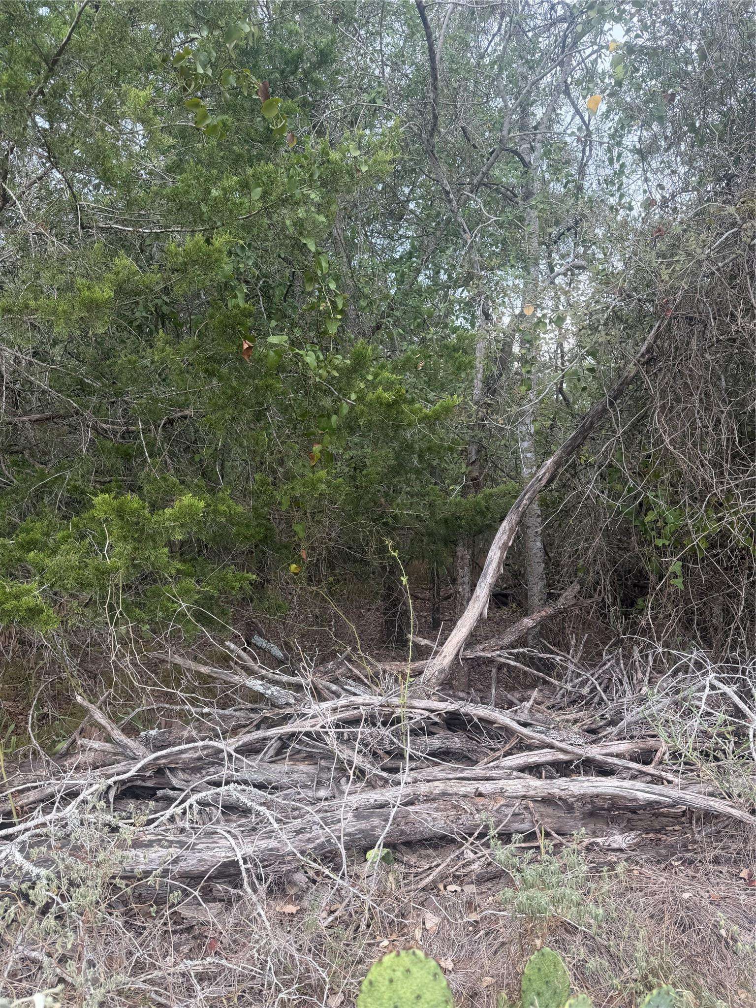223 Mokulua LN, Bastrop, TX 78602