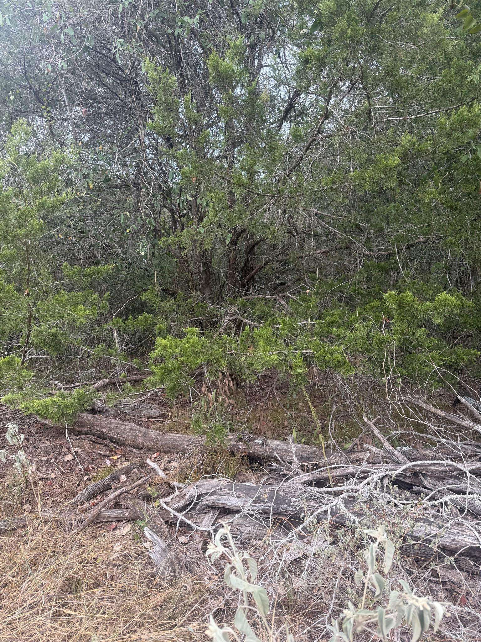 223 Mokulua LN, Bastrop, TX 78602