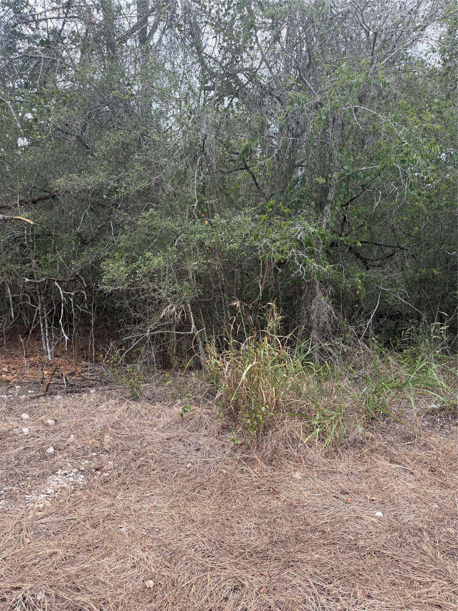 104, 108, 110 Makua CT, Bastrop, TX 78602