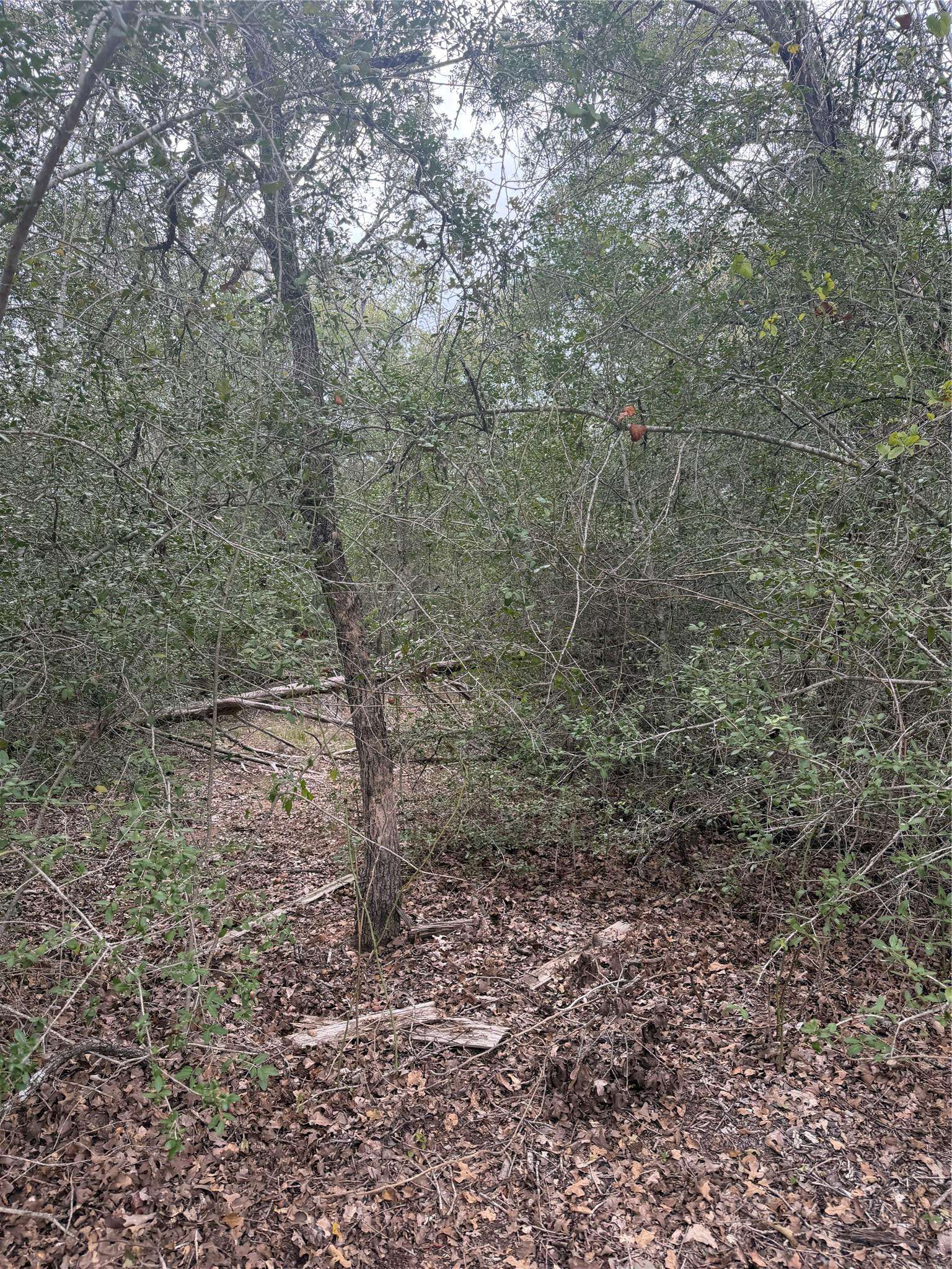 104, 108, 110 Makua CT, Bastrop, TX 78602