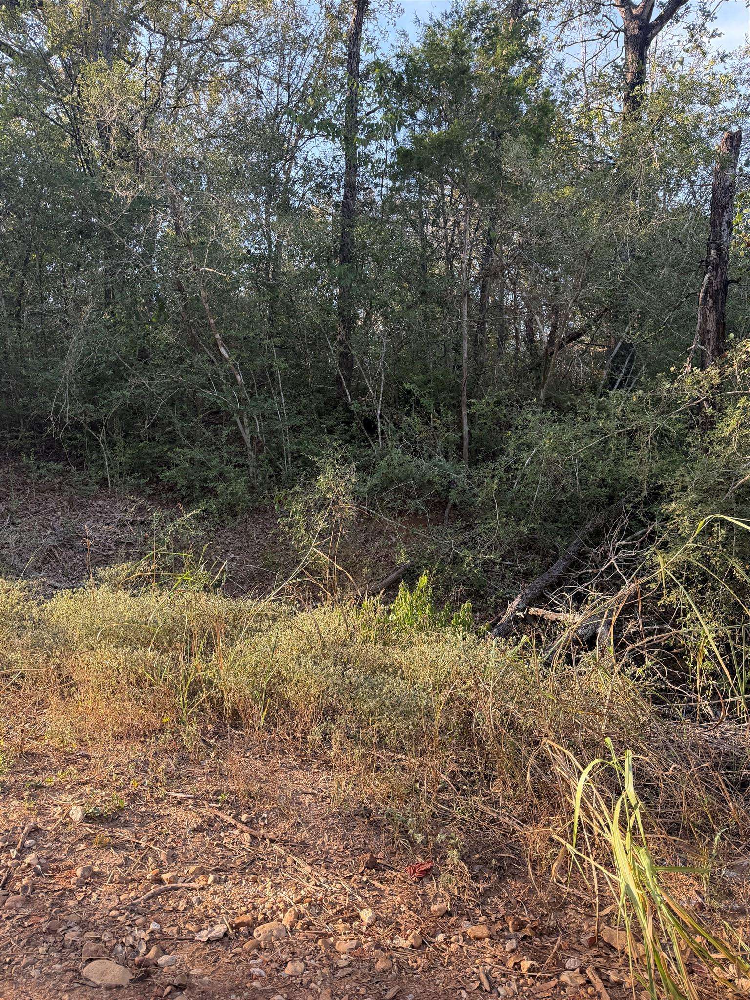 Lot 607 Waimanalo DR, Bastrop, TX 78602
