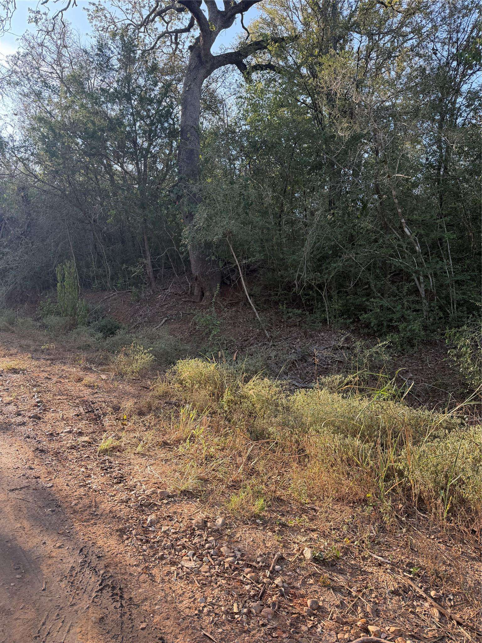 Lot 607 Waimanalo DR, Bastrop, TX 78602