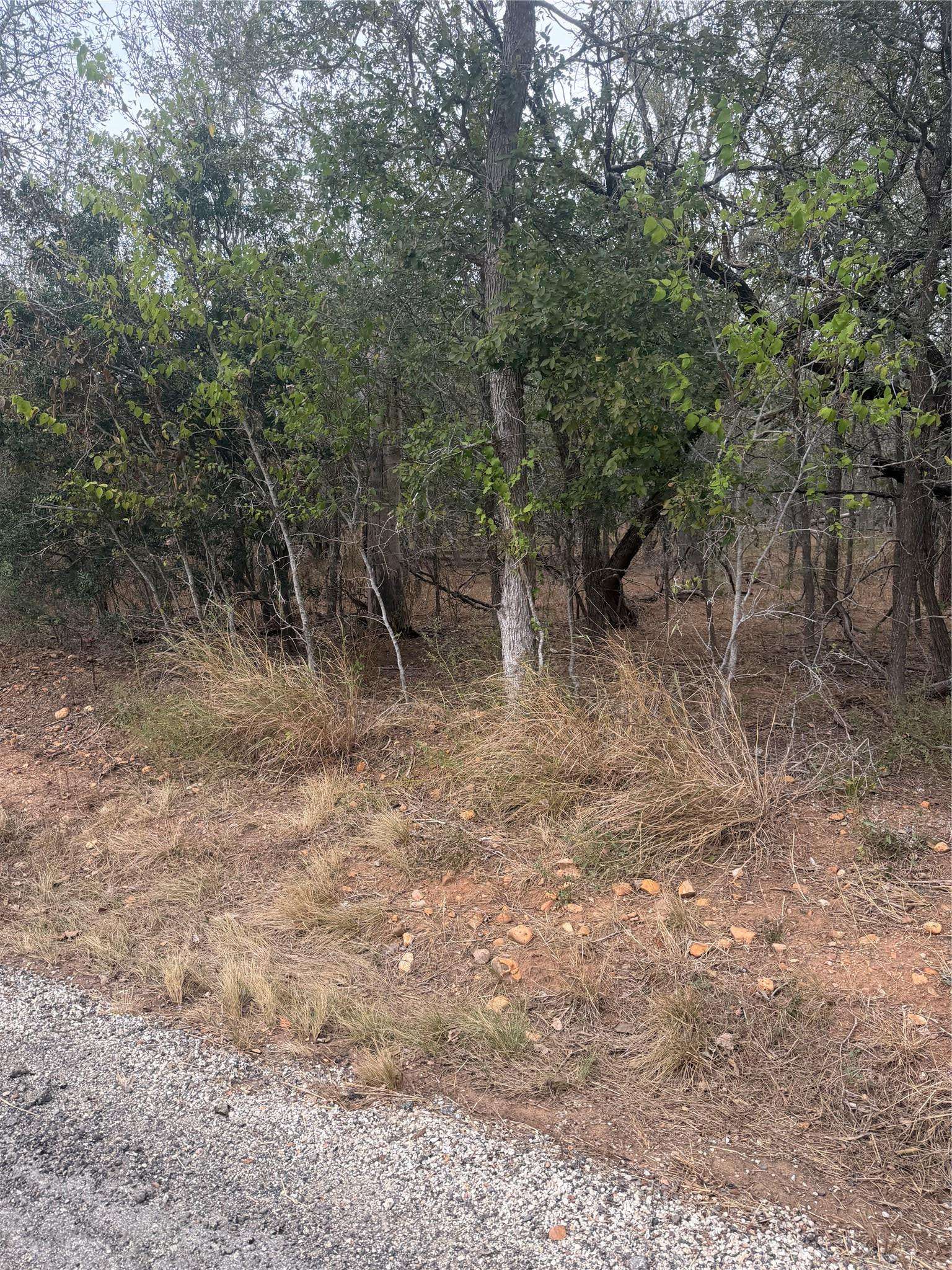 300 Riverside DR, Bastrop, TX 78602