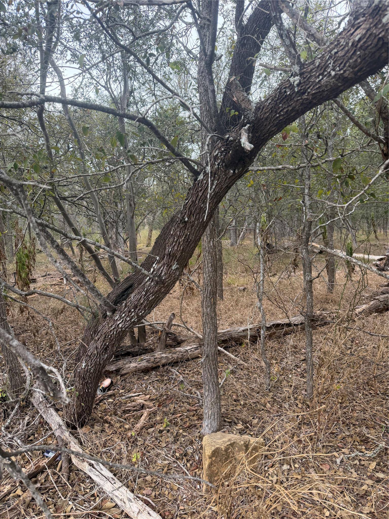 300 Riverside DR, Bastrop, TX 78602