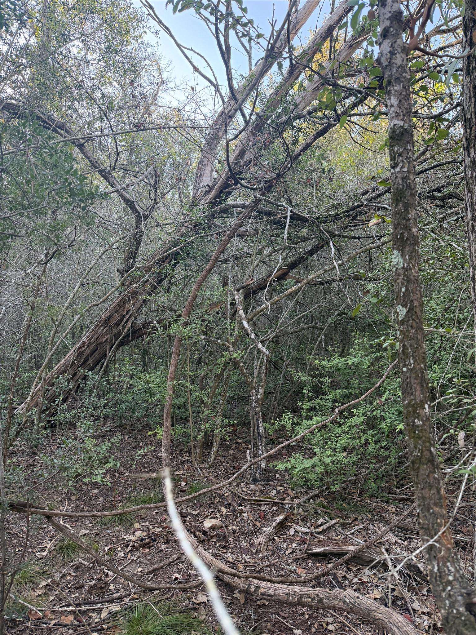 Lot 608 Waimanalo DR, Bastrop, TX 78602
