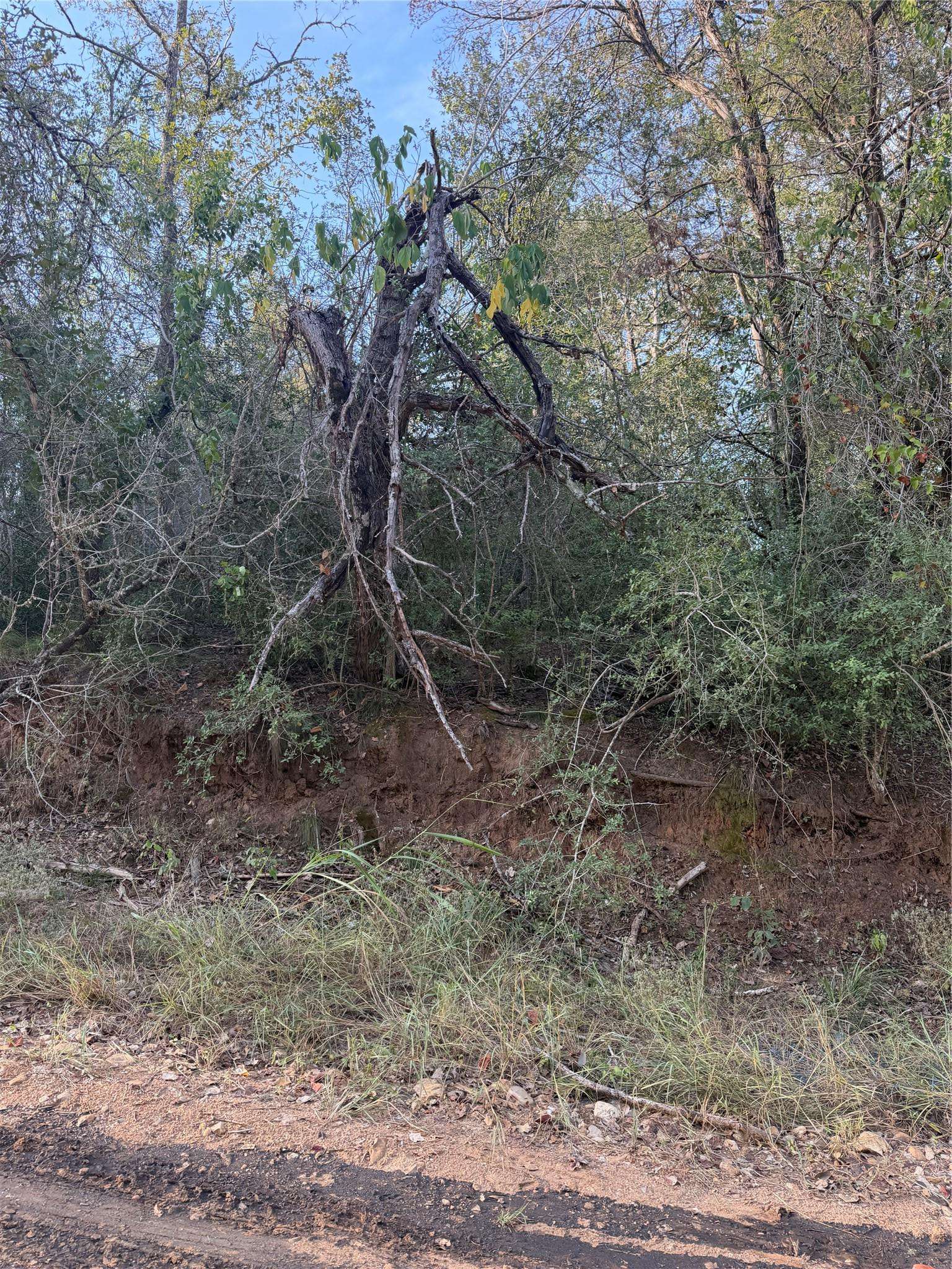 Lot 608 Waimanalo DR, Bastrop, TX 78602