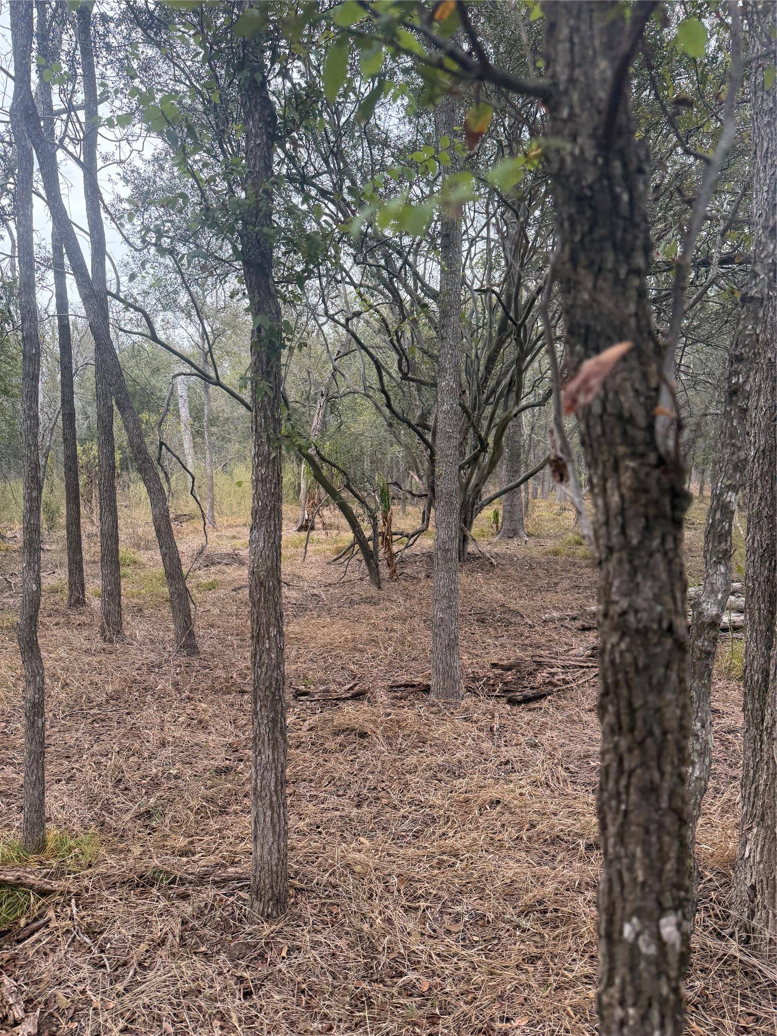 298 Riverside DR, Bastrop, TX 78602