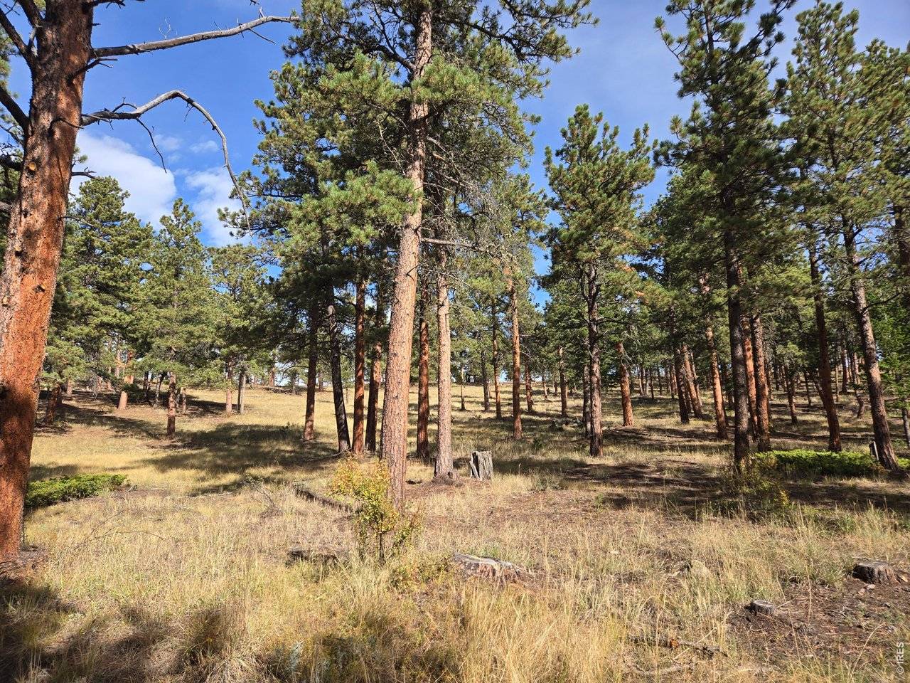 18677 State Highway 7, Lyons, CO 80540