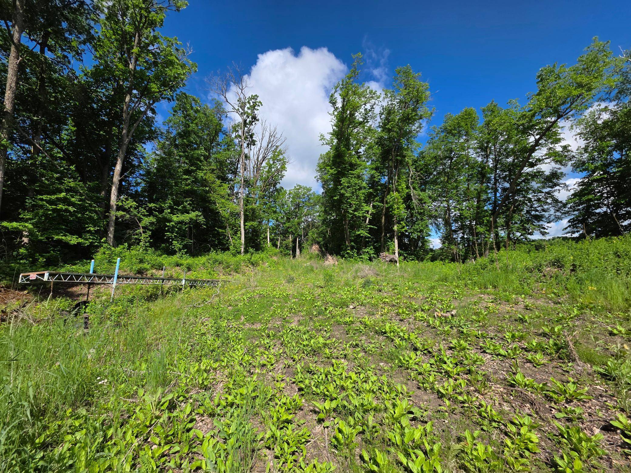 TBD St Hwy 113, Waubun, MN 56589