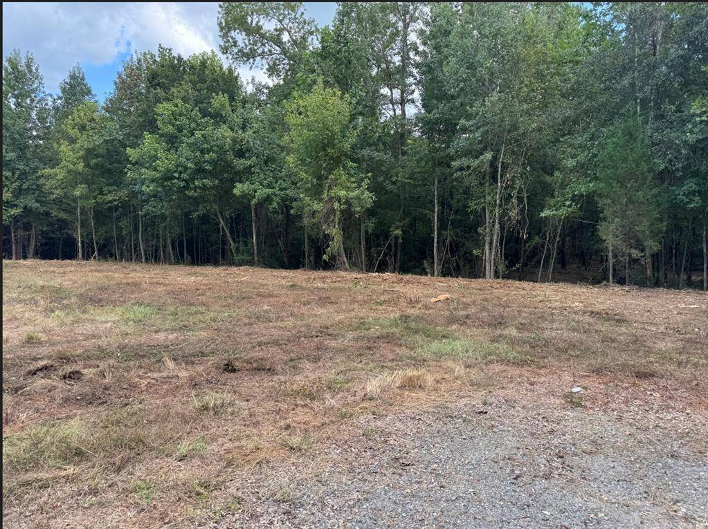 0 Hwy 172, Keatchie, LA 71046