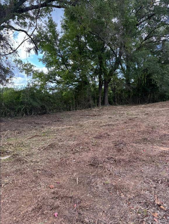 0 Hwy 172, Keatchie, LA 71046
