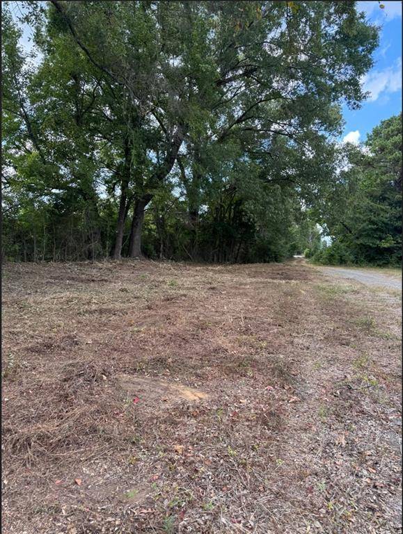 0 Hwy 172, Keatchie, LA 71046