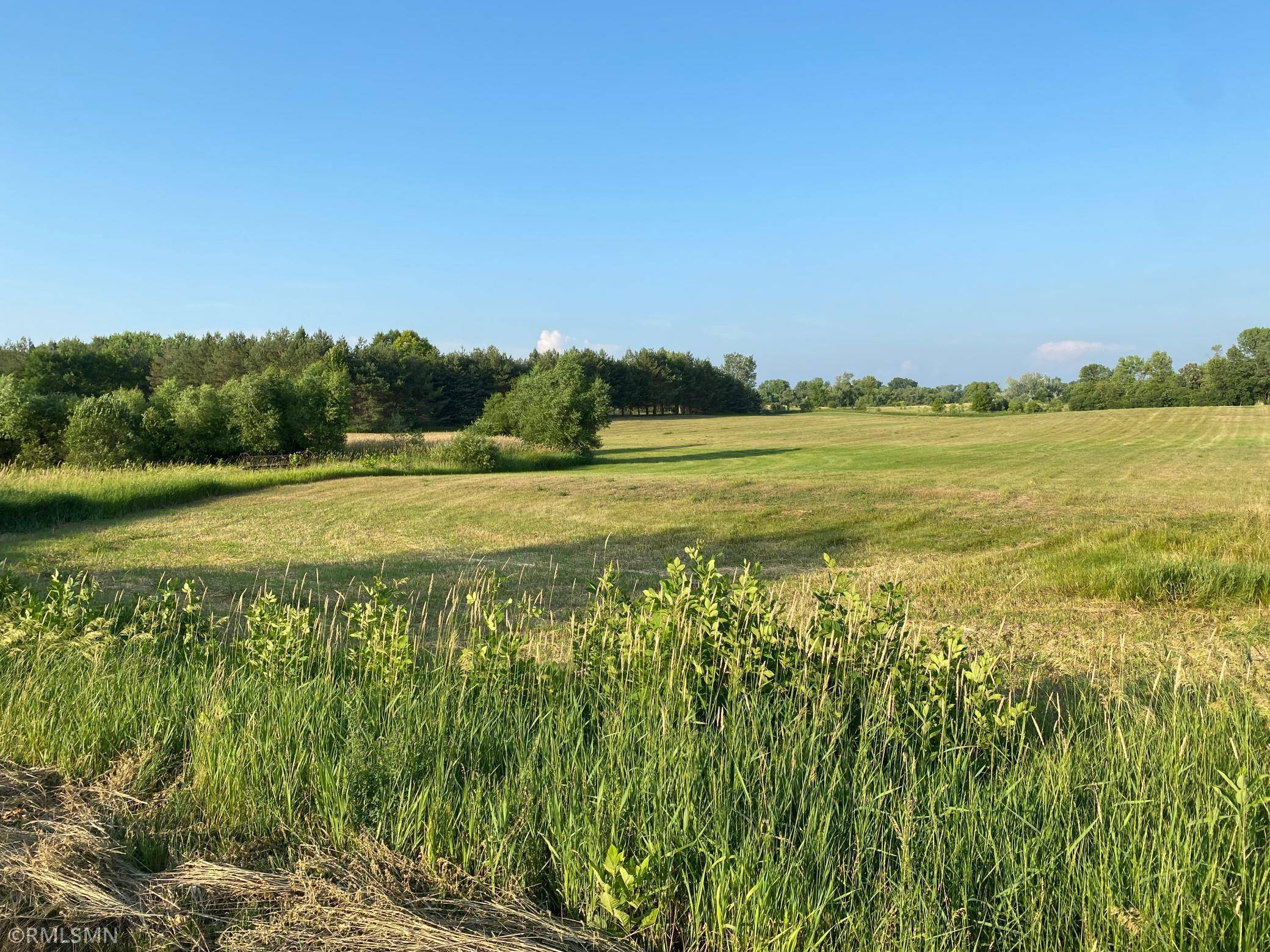 10001 748th Ave, Dassel, MN 55325