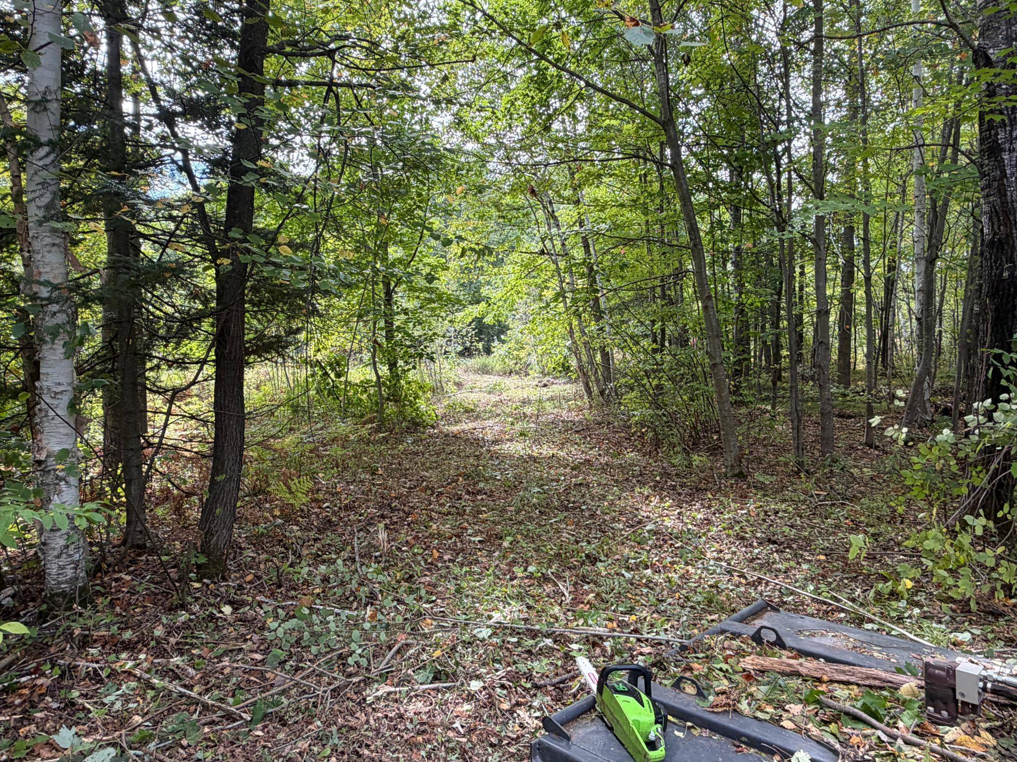 TBD Sand Creek RD, Bruno, MN 55712