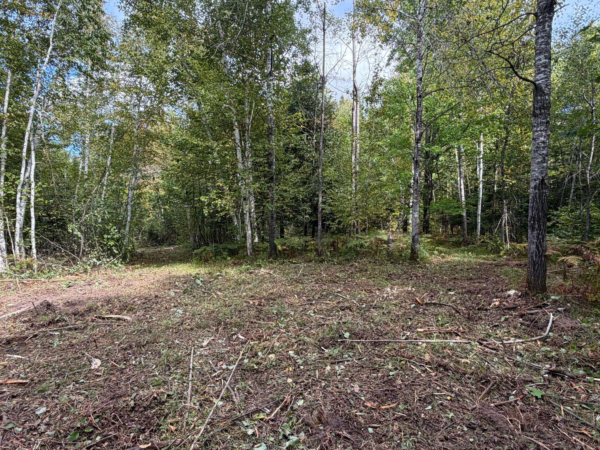 TBD Sand Creek RD, Bruno, MN 55712