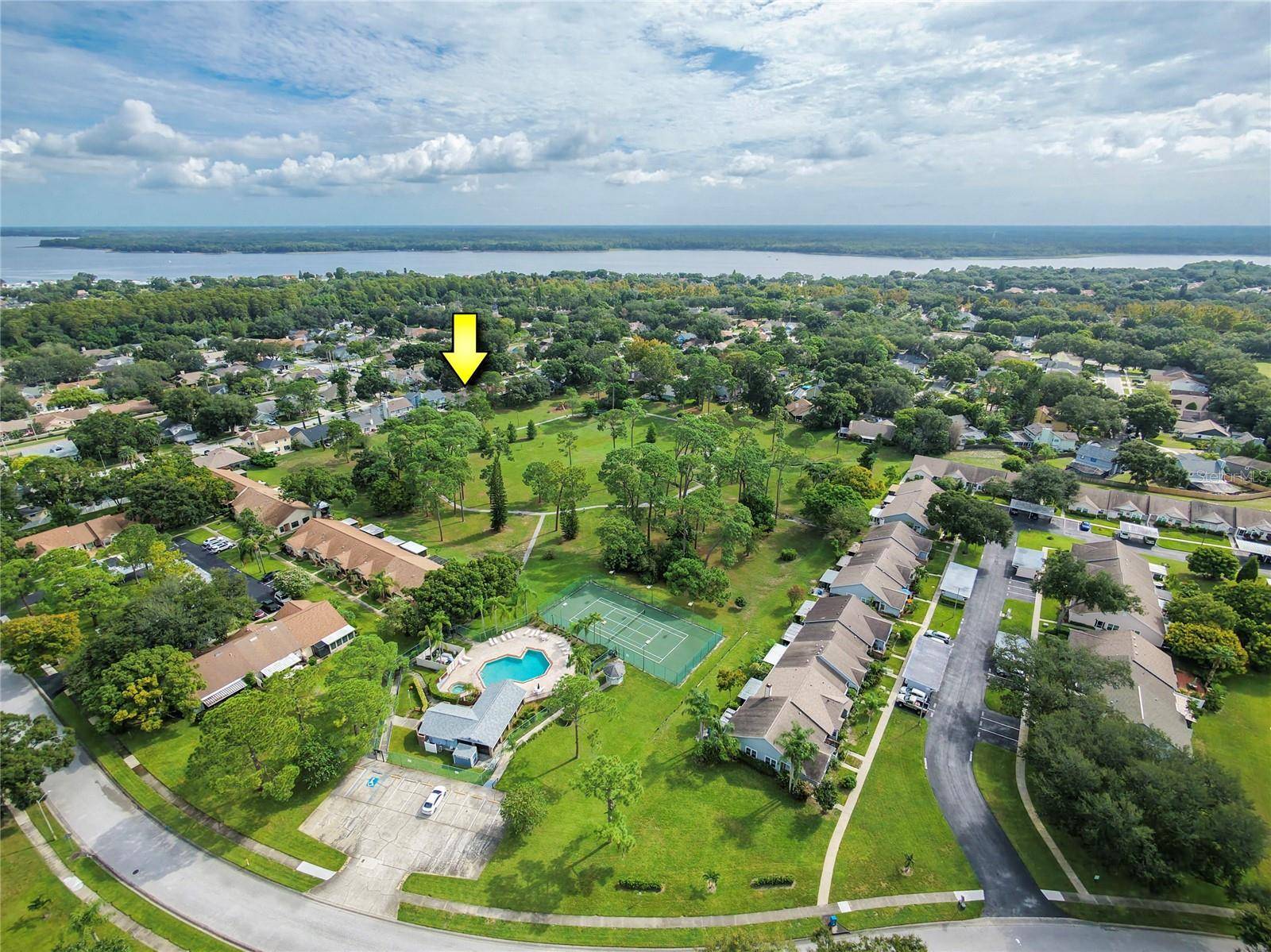3100 PINE FOREST DR, Palm Harbor, FL 34684