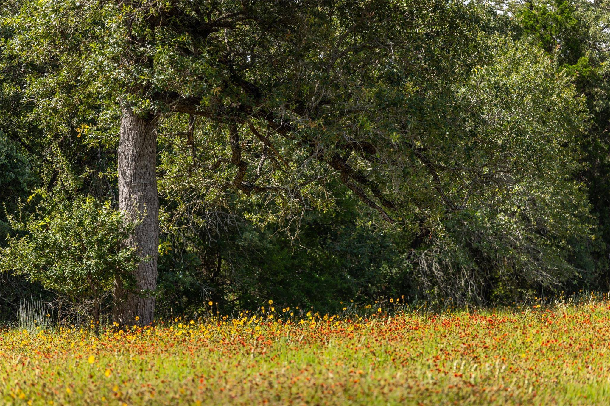 1272 Private Road 7024, Elgin, TX 78621