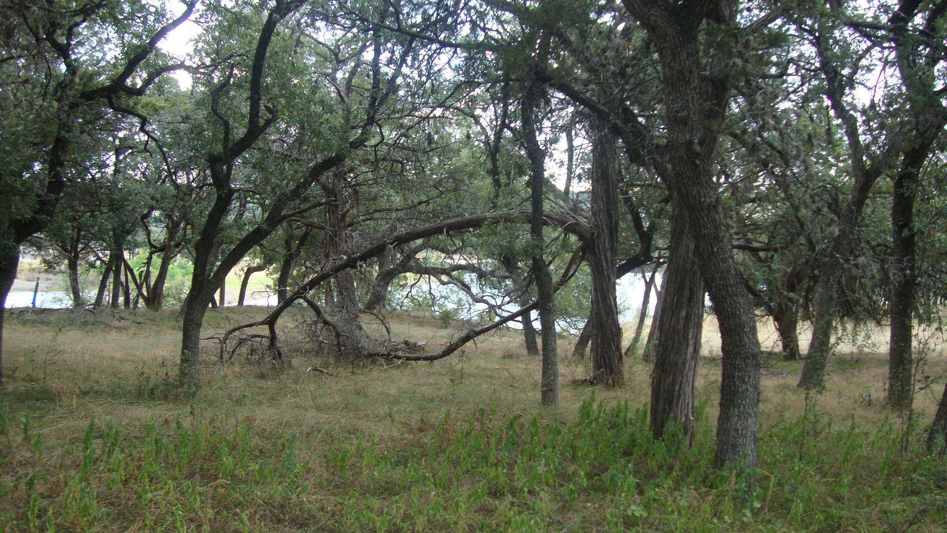 6703 Bar K Ranch RD, Lago Vista, TX 78645