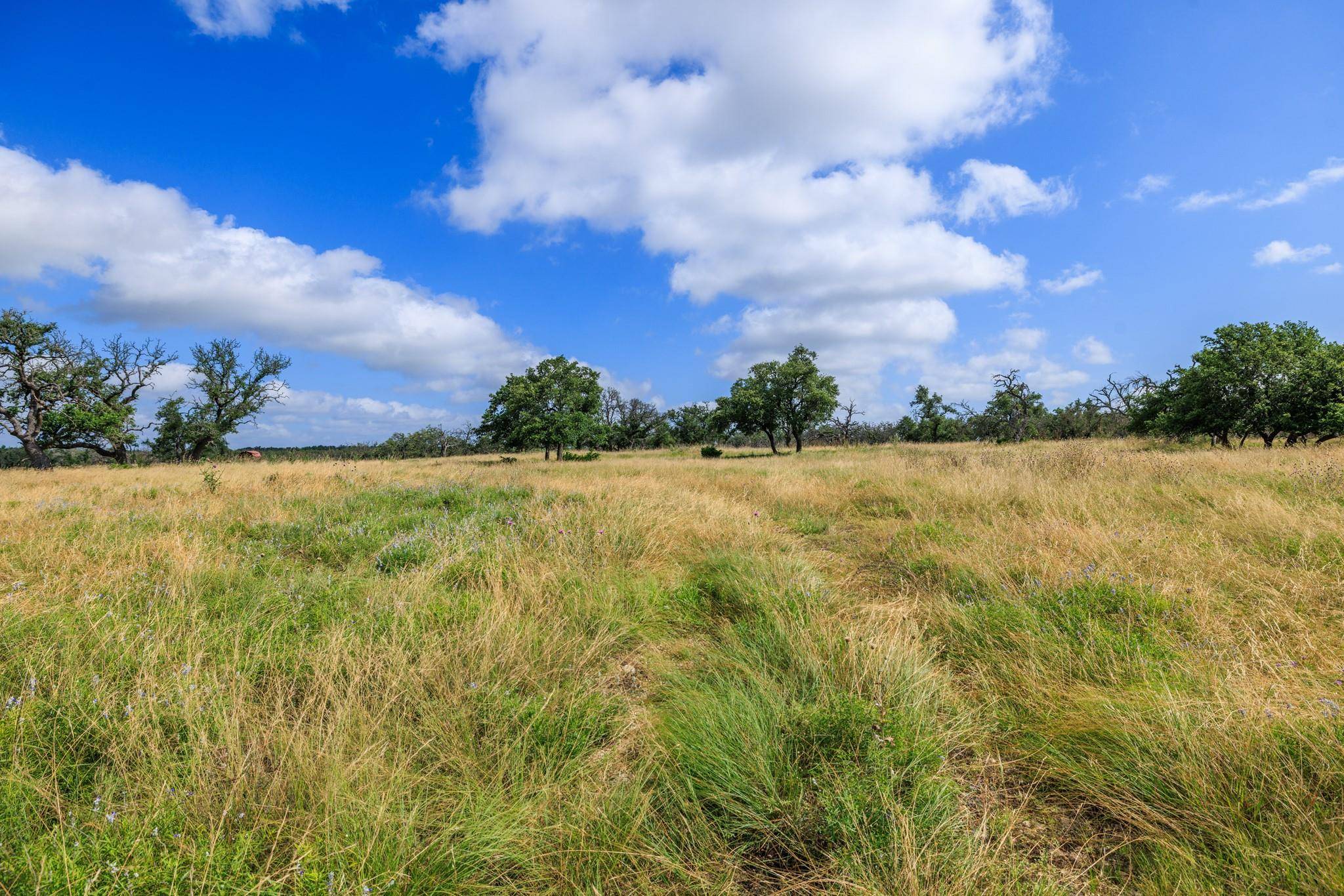 436 Stevens Ranch RD, Harper, TX 78631