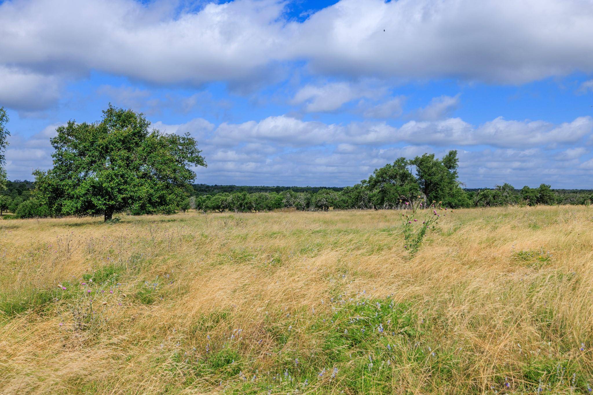 436 Stevens Ranch RD, Harper, TX 78631