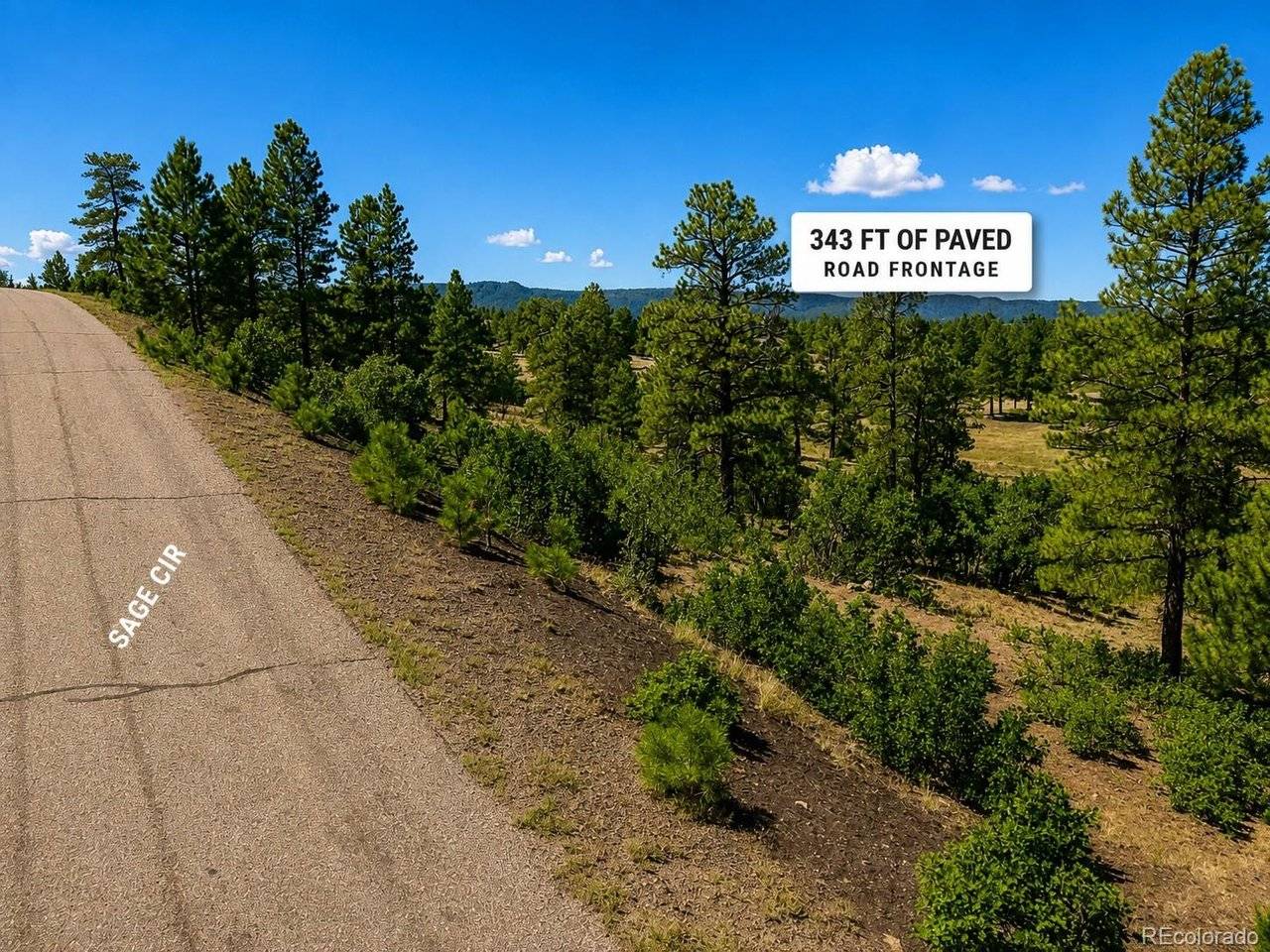 166 Ponderosa, Durango, CO 81301