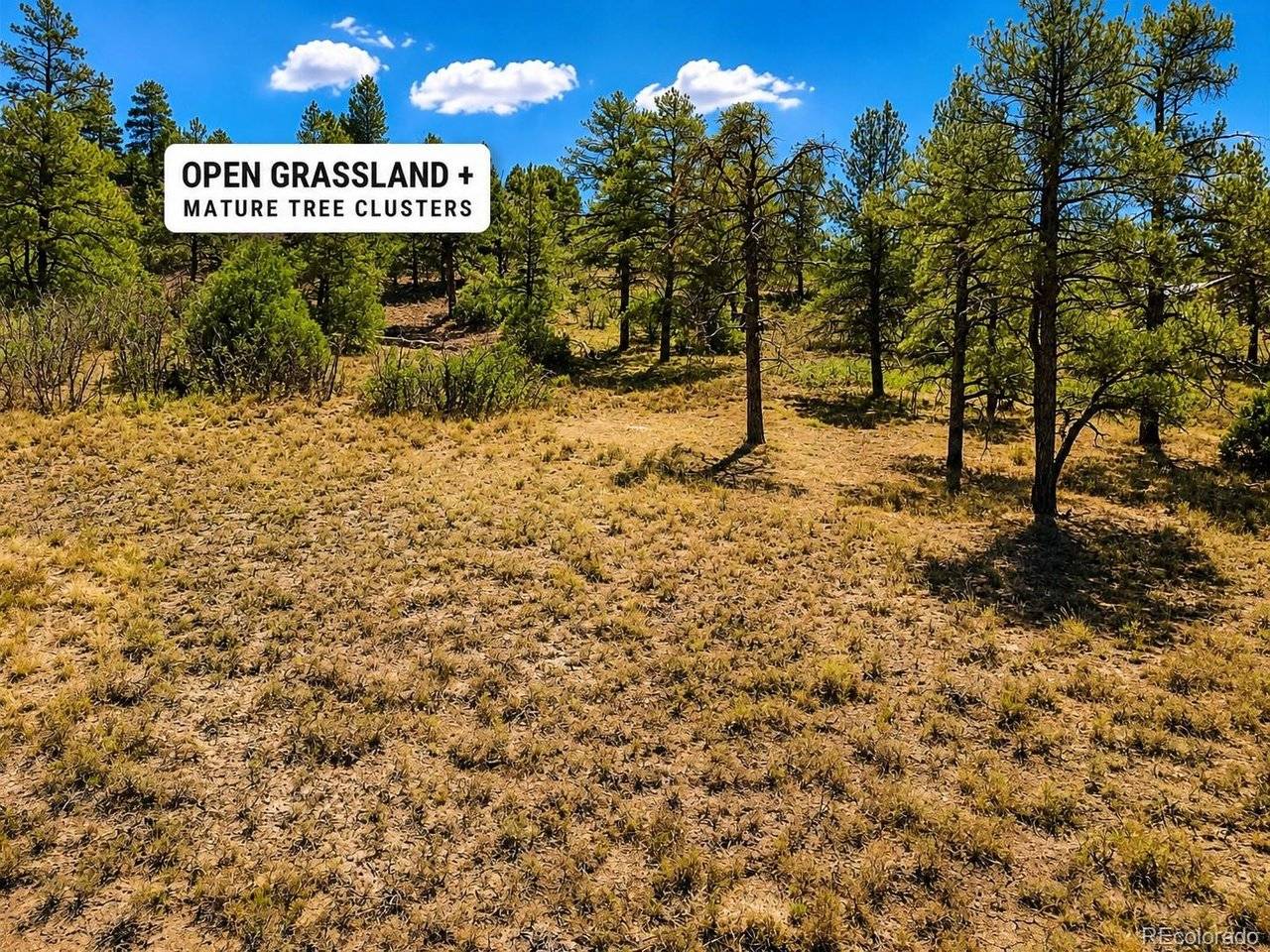 166 Ponderosa, Durango, CO 81301