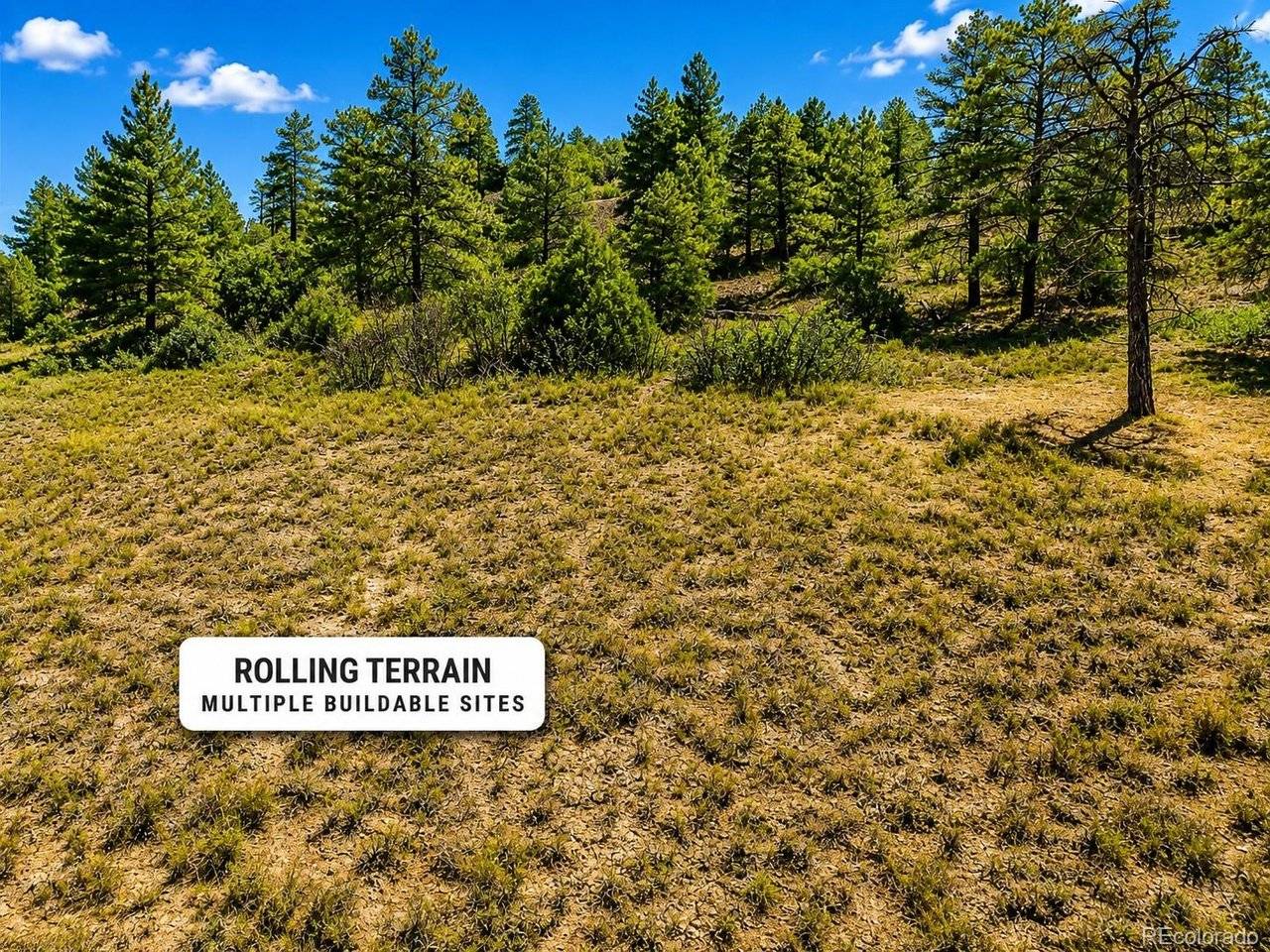 166 Ponderosa, Durango, CO 81301