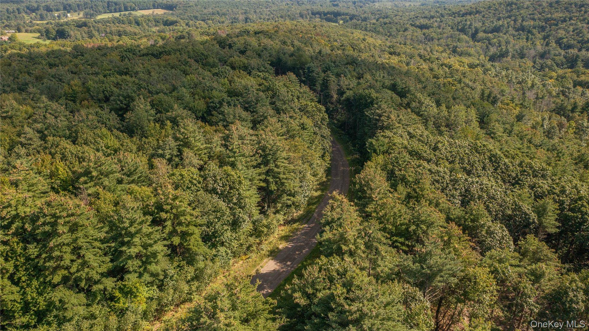 TBD Old Ghost Road, Canaan, NY 12029