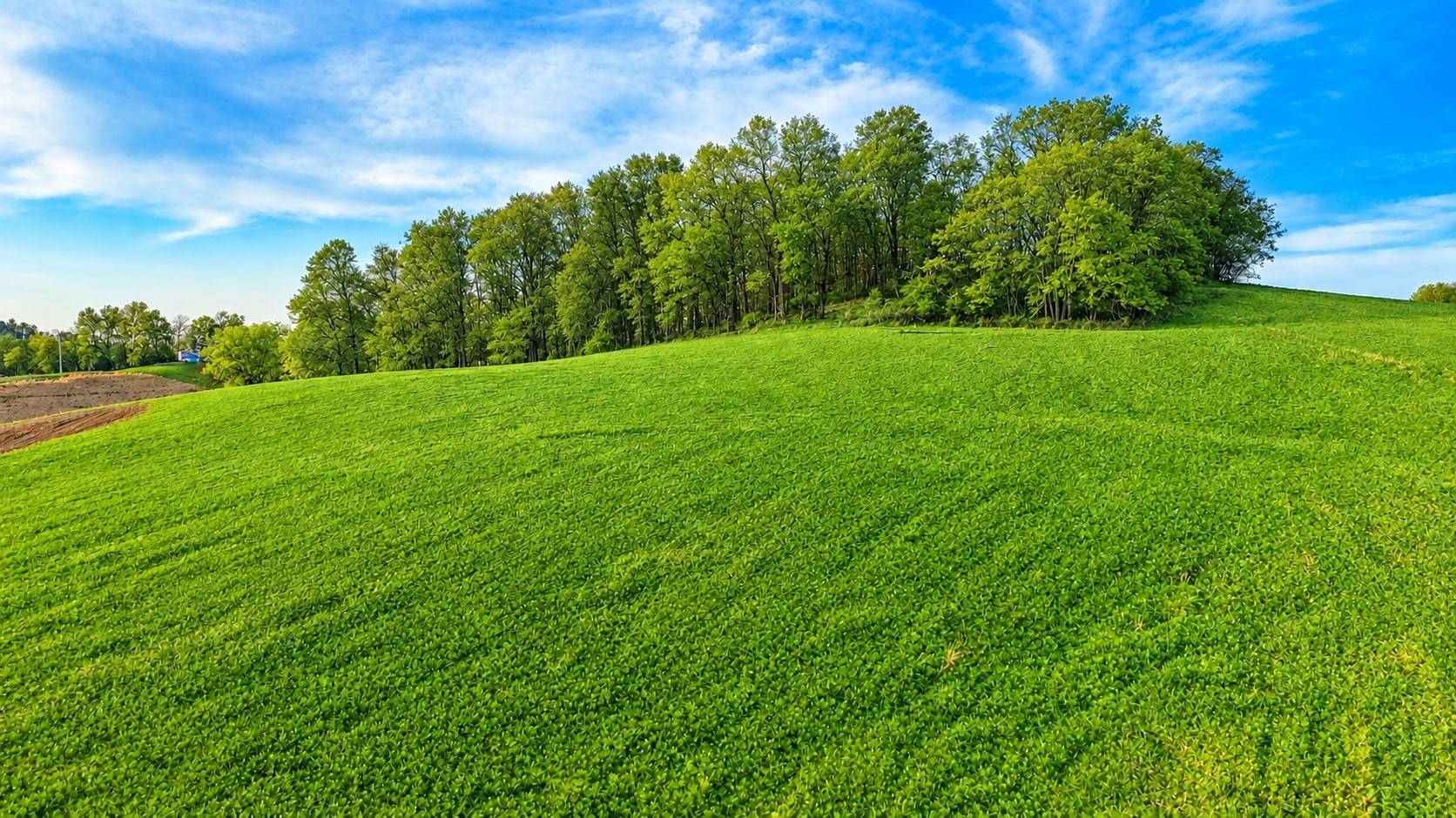 0 John Brinkley Rd, Shelbyville, TN 37160